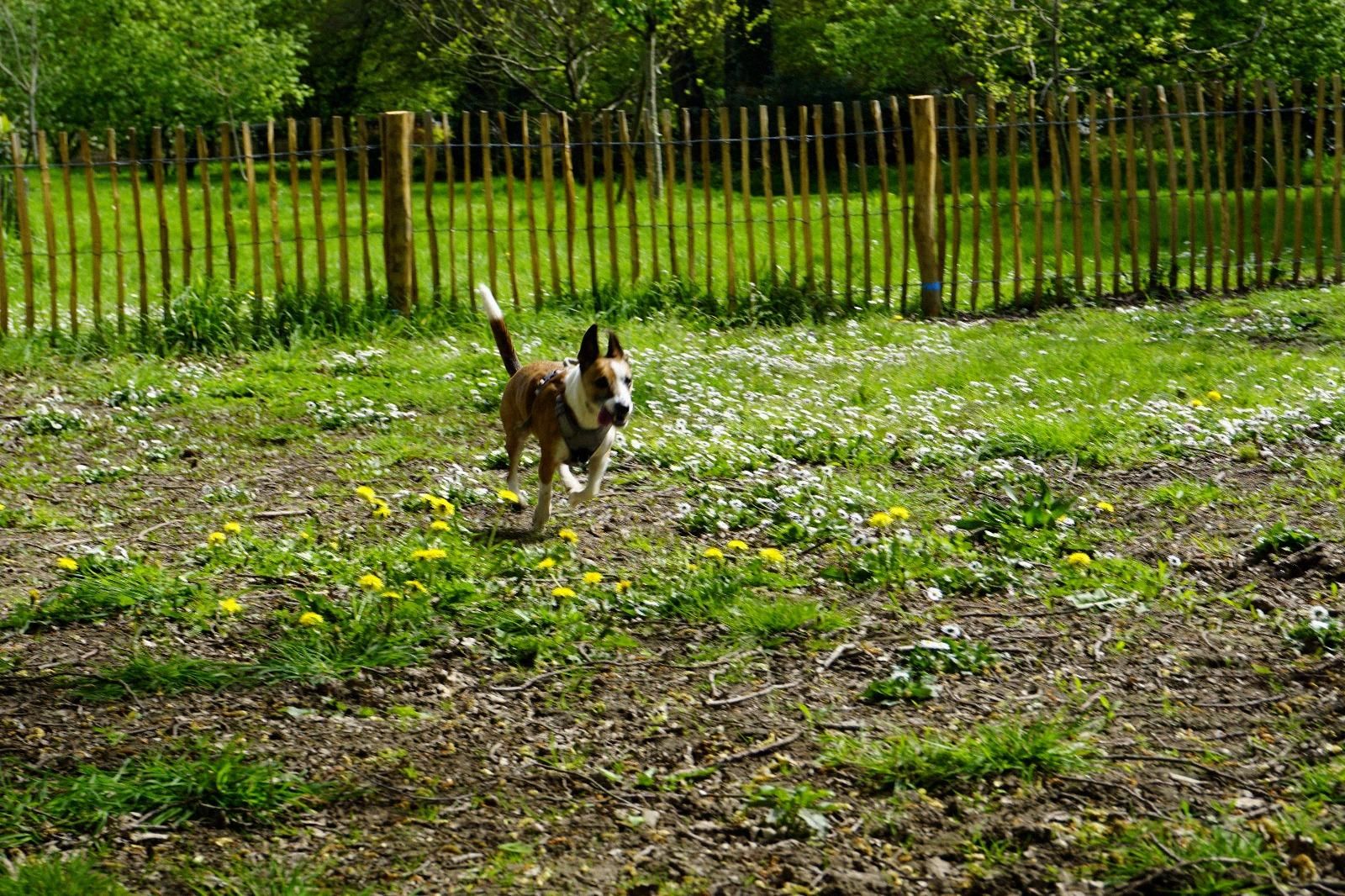 image-37