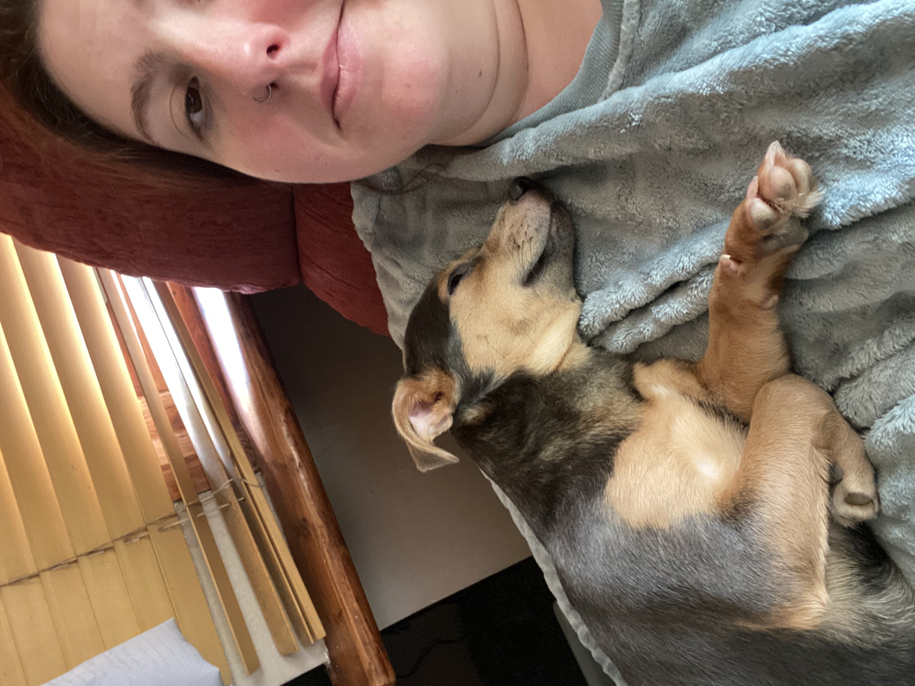 image-6