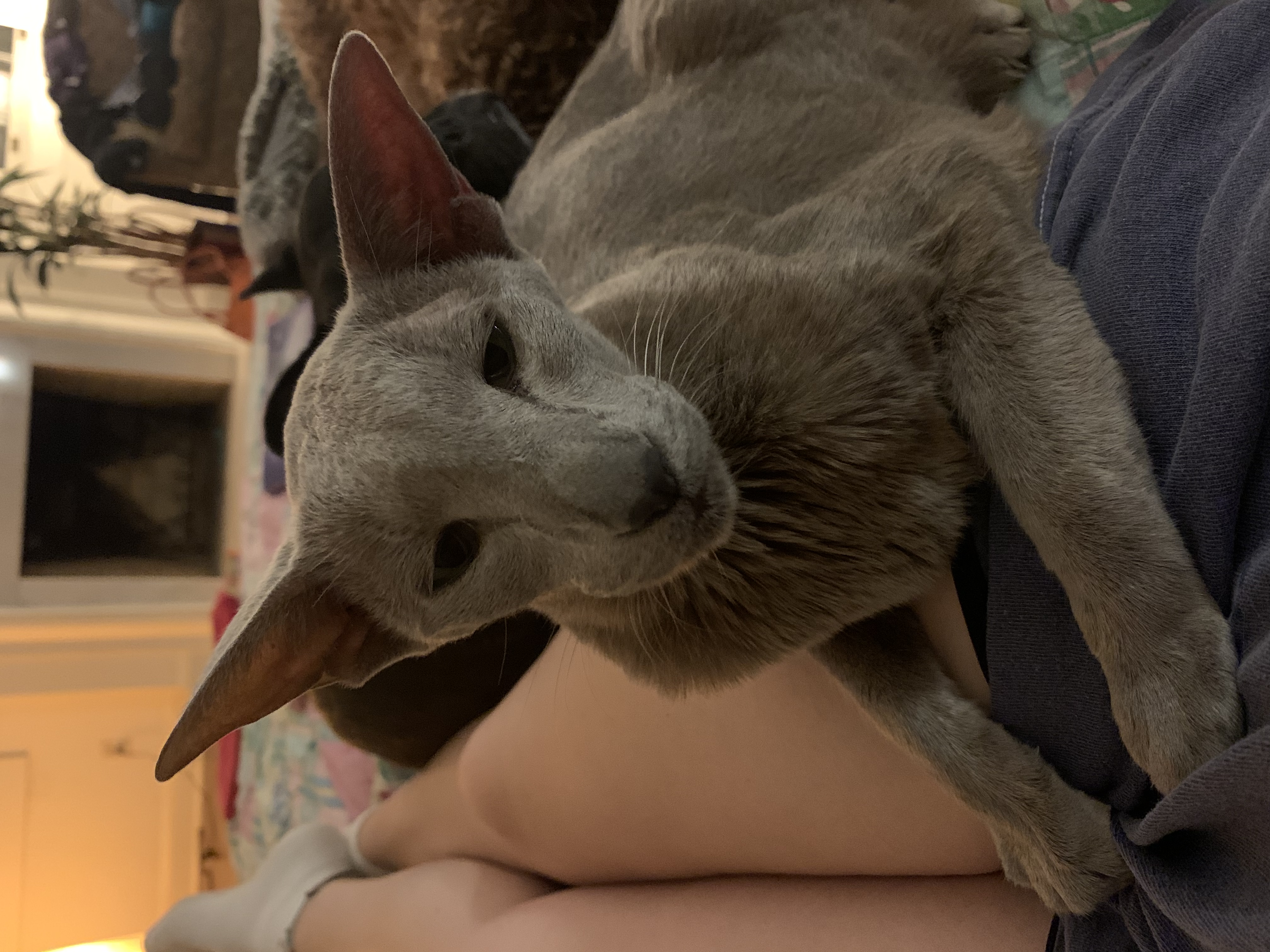 image-8