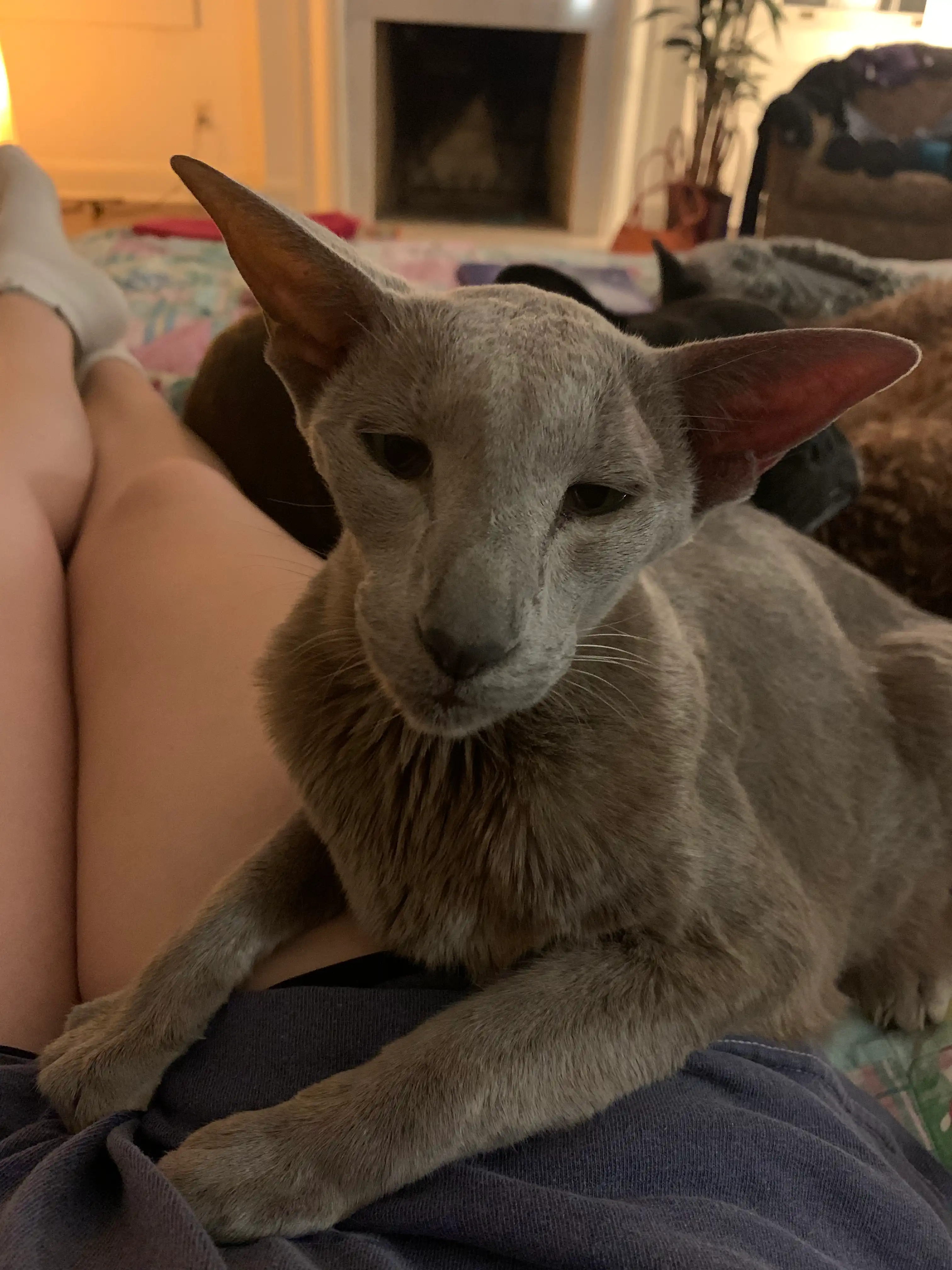 image-8