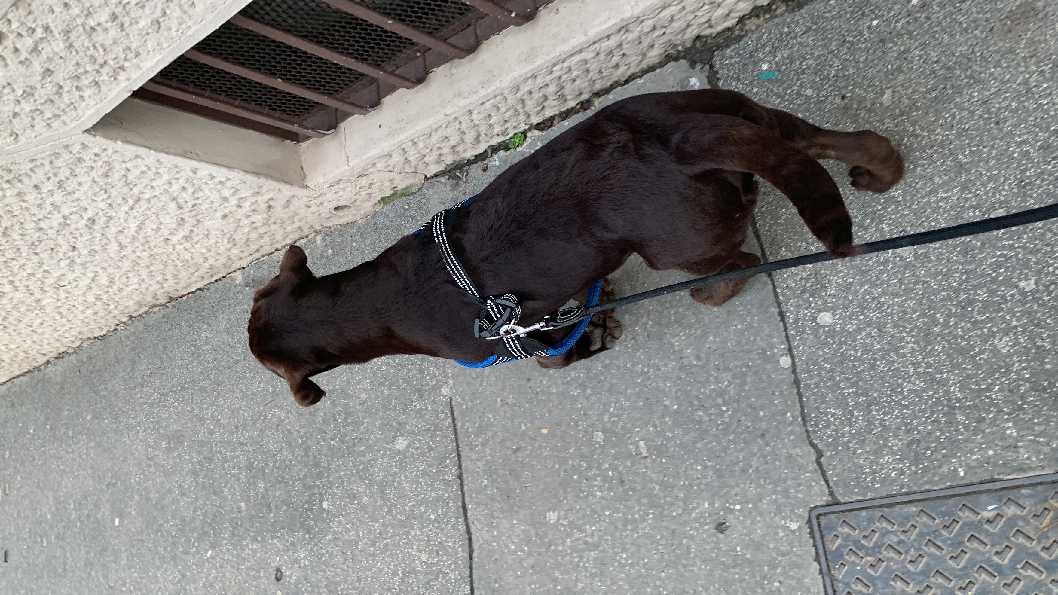 image-5