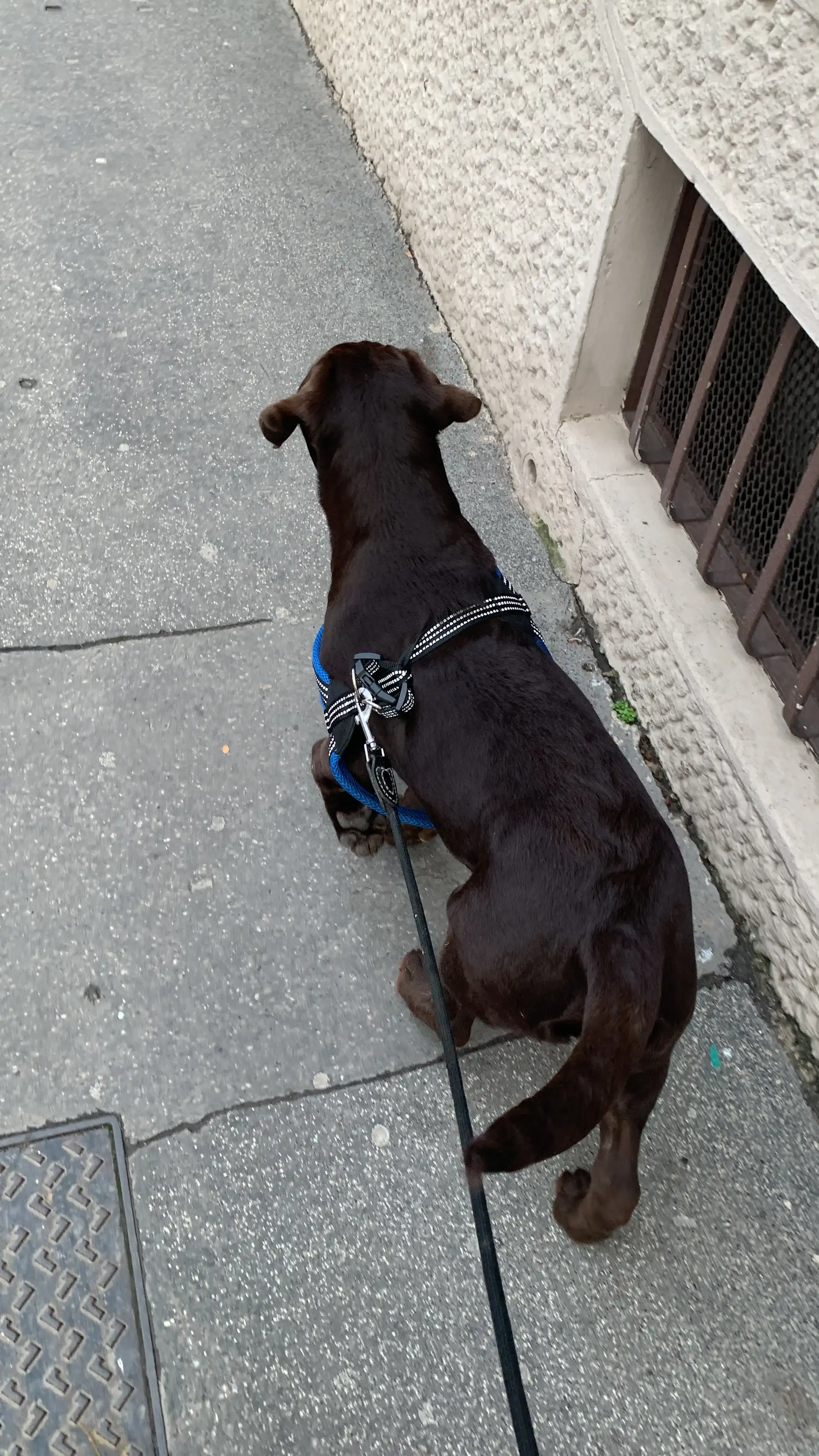 image-5