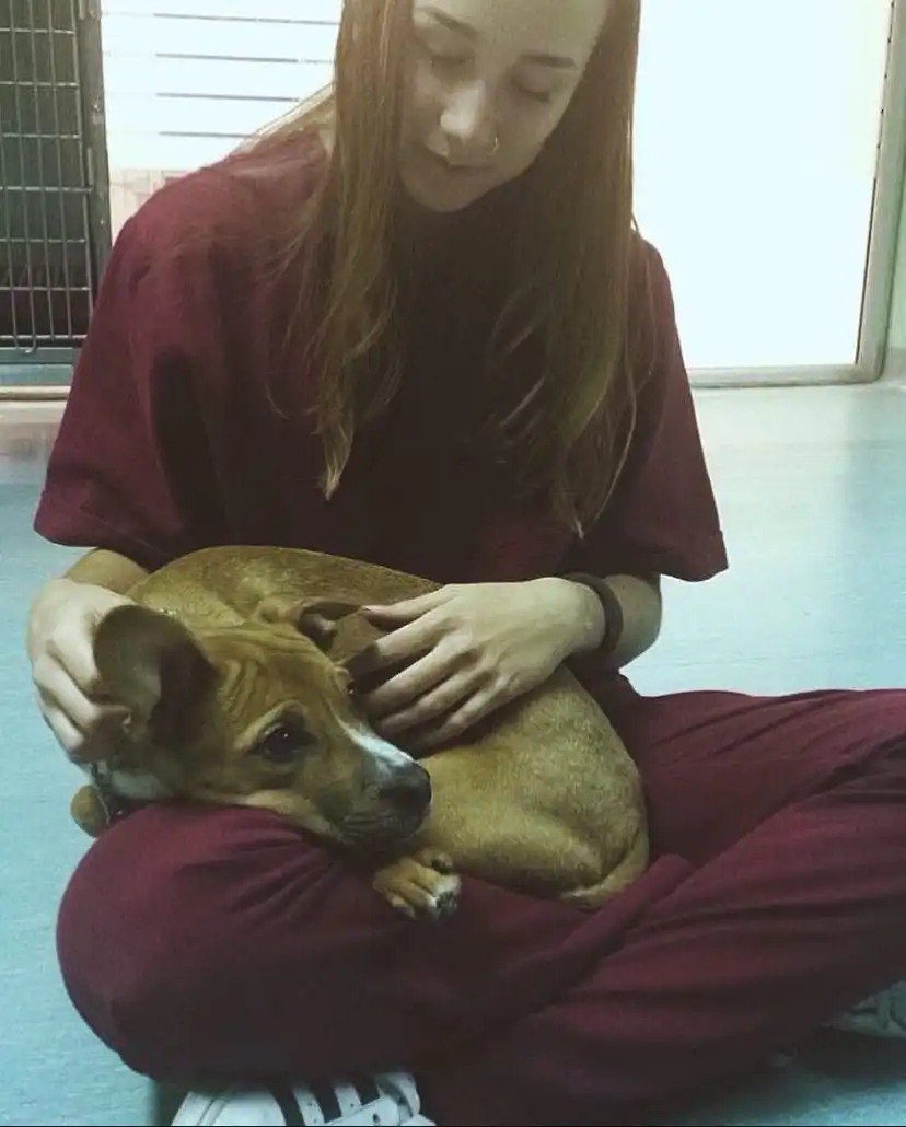 image-7