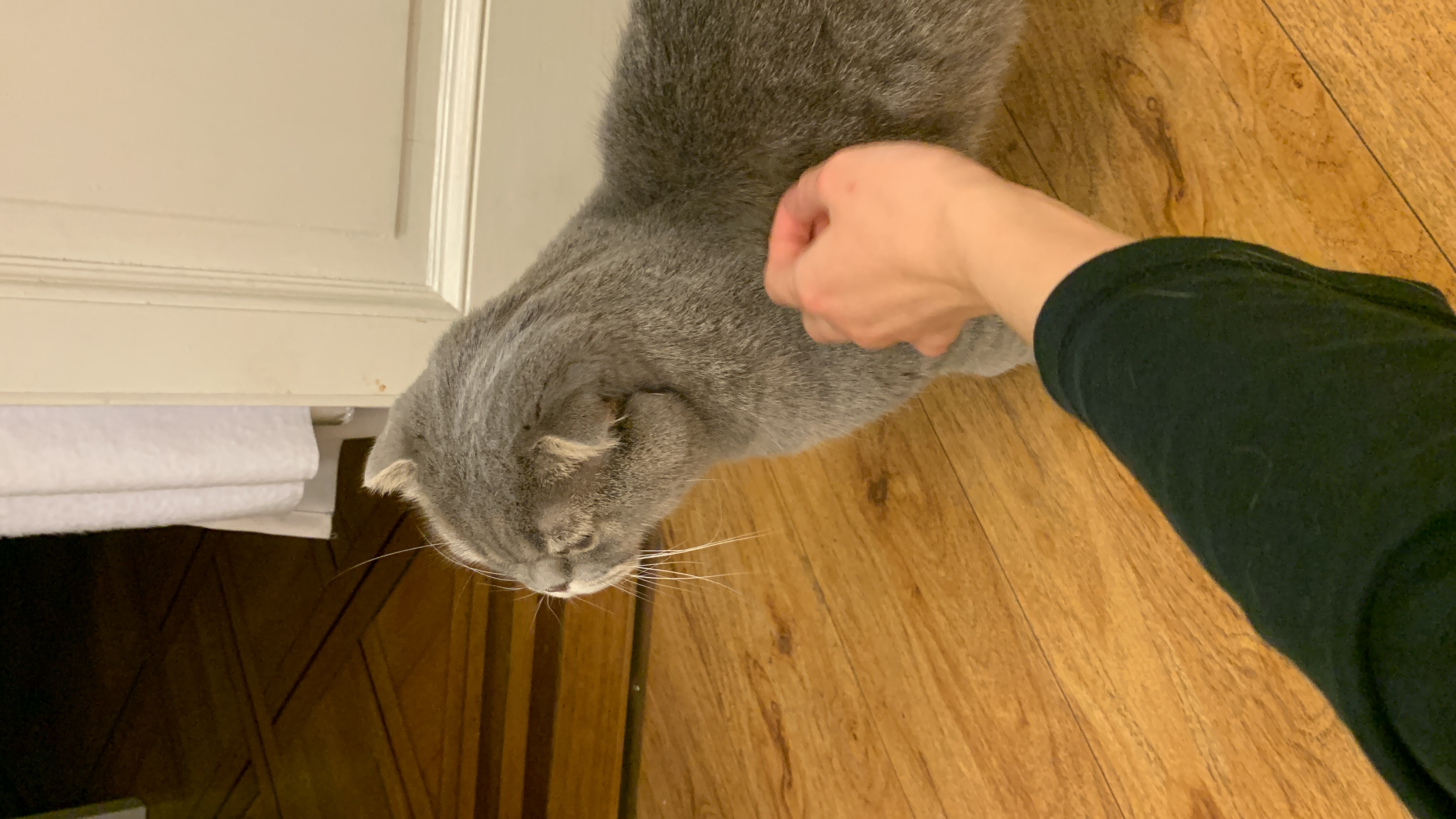 image-14
