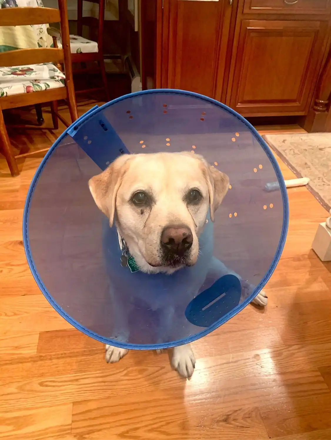image-6