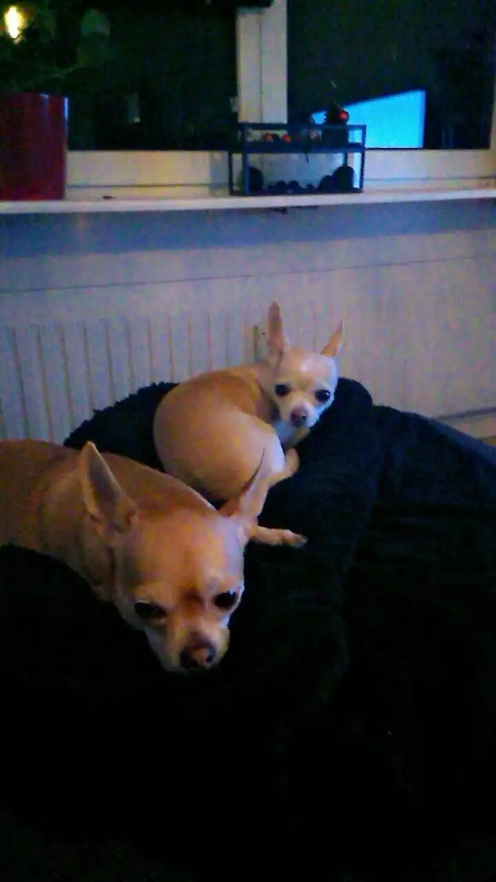 image-8