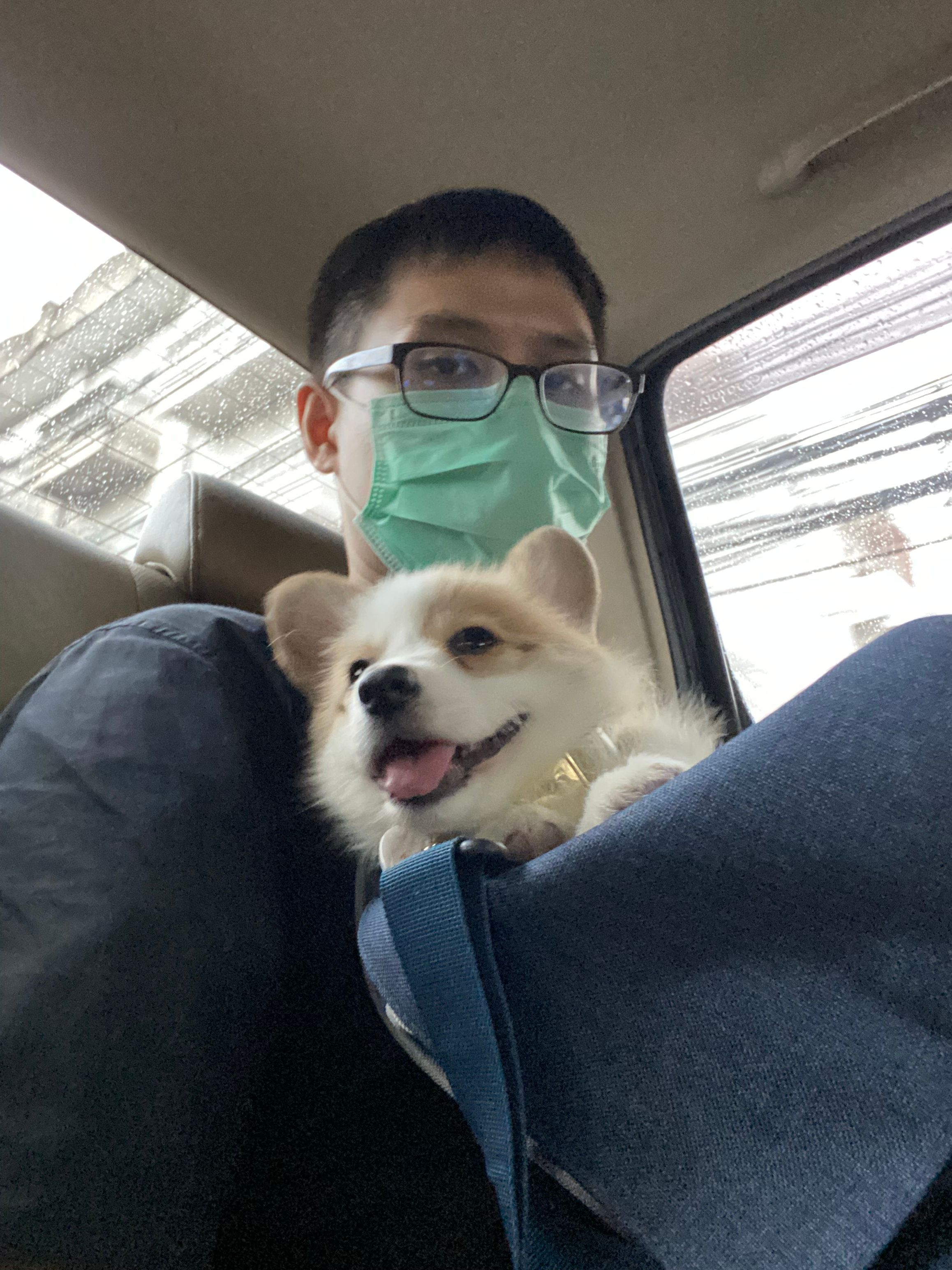 image-5