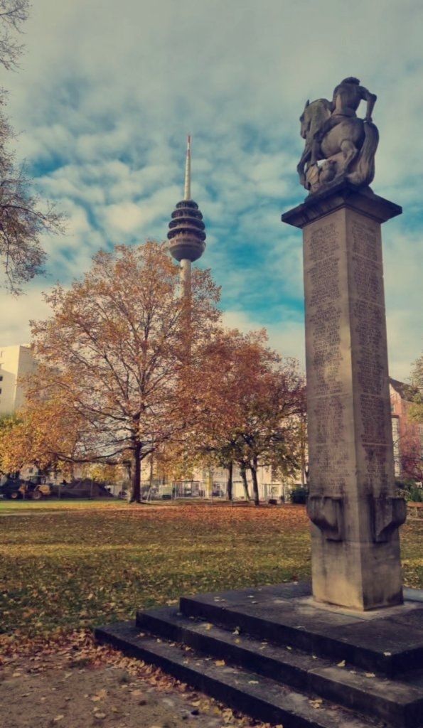 image-12