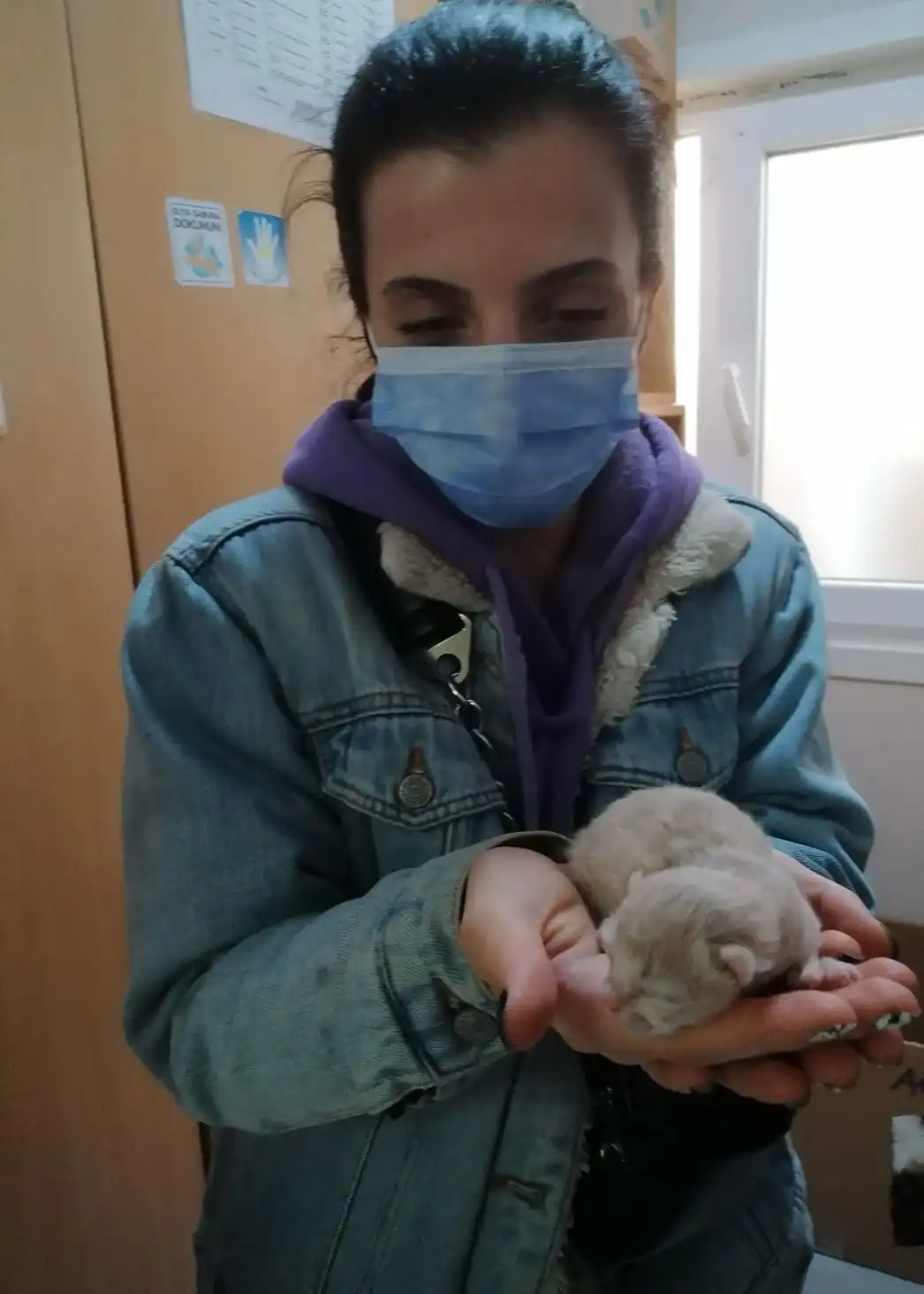 image-7