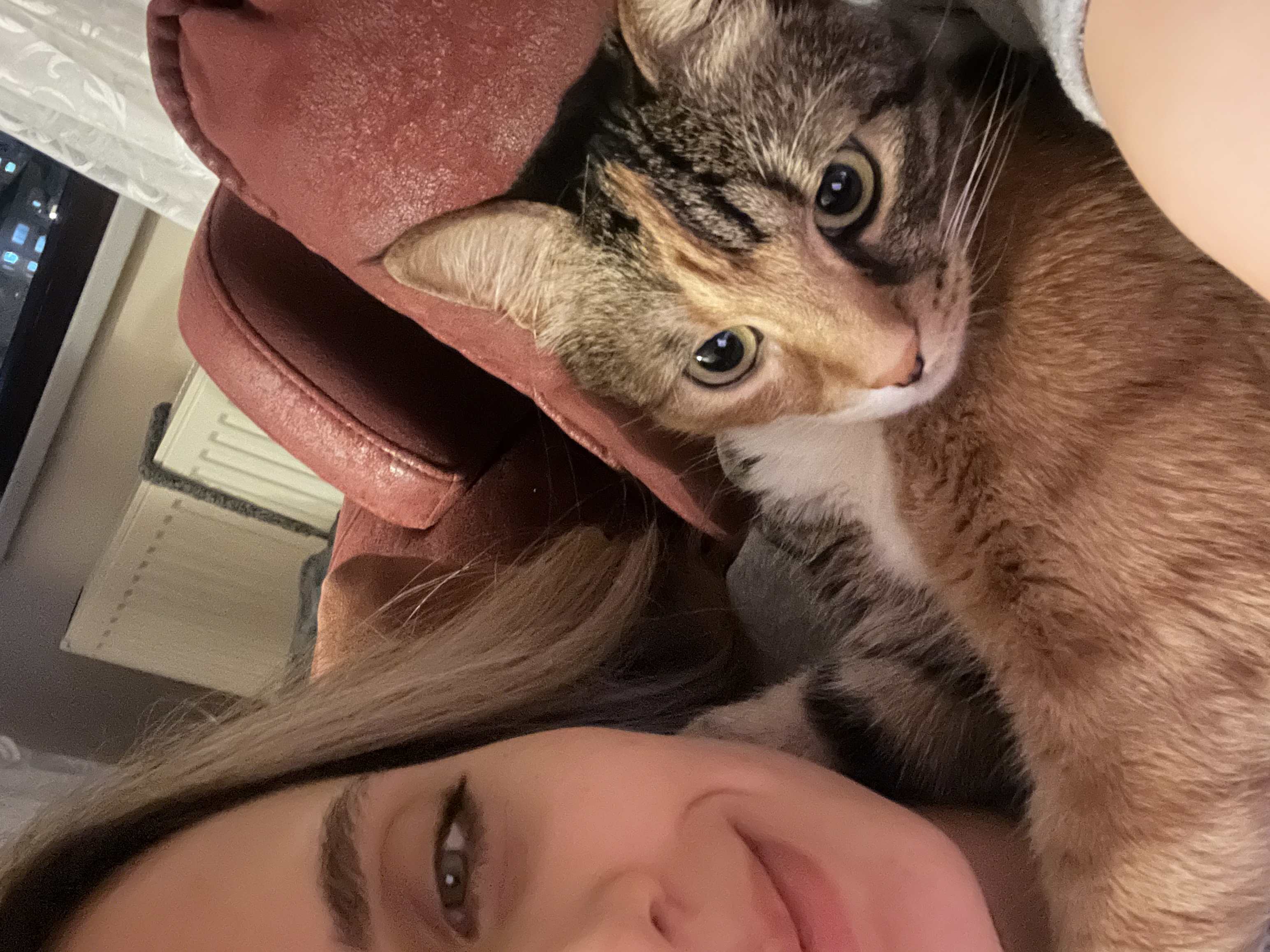 image-6