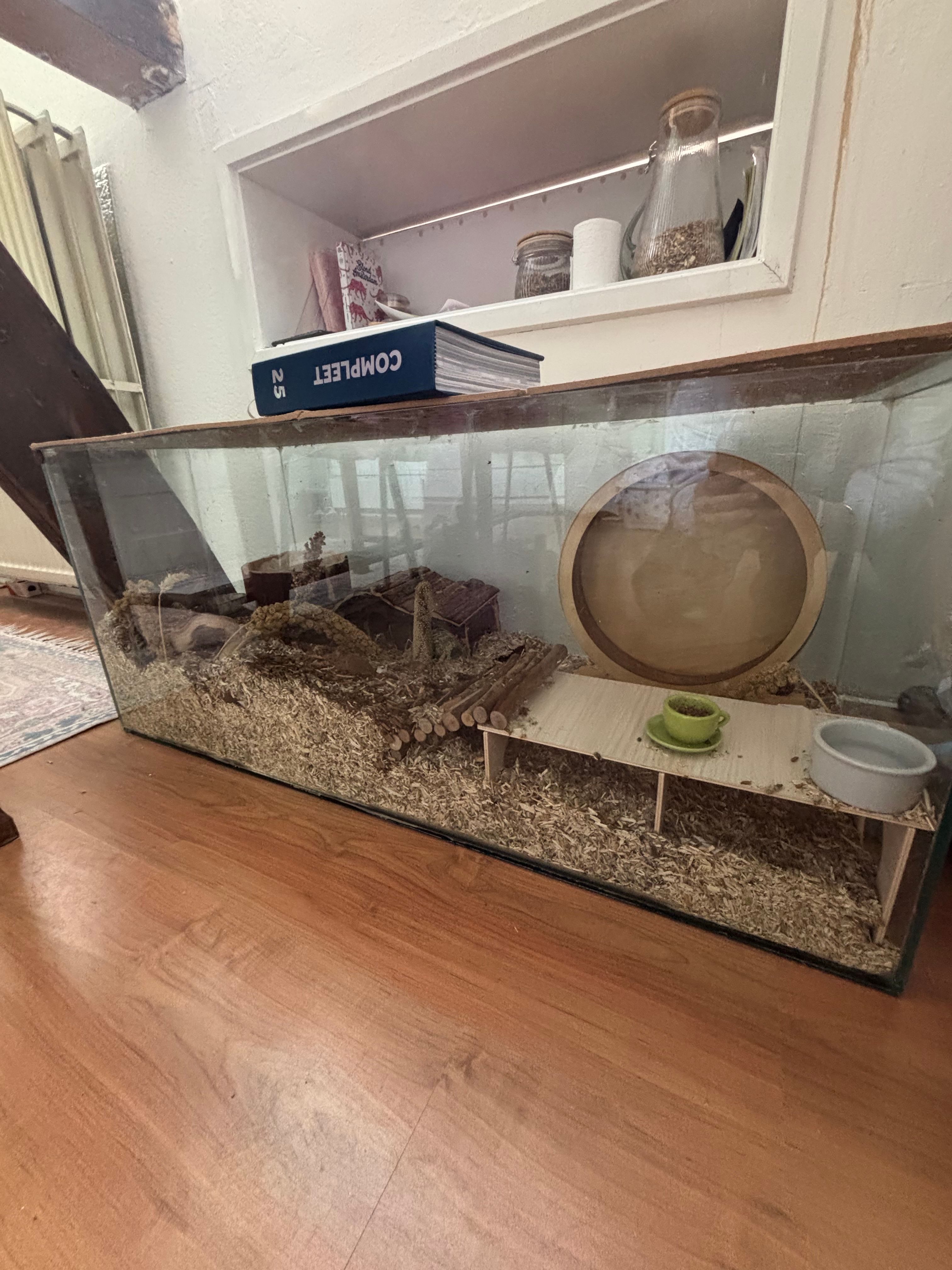 image-9