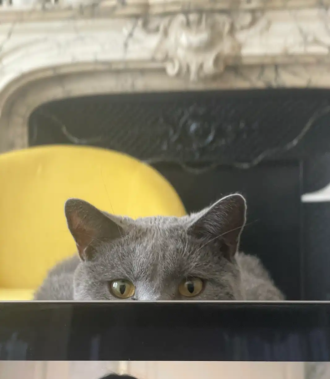 image-5