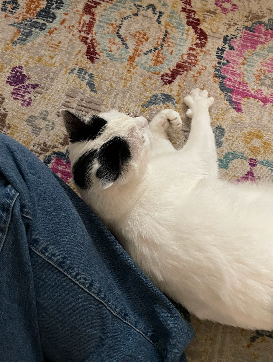 image-7