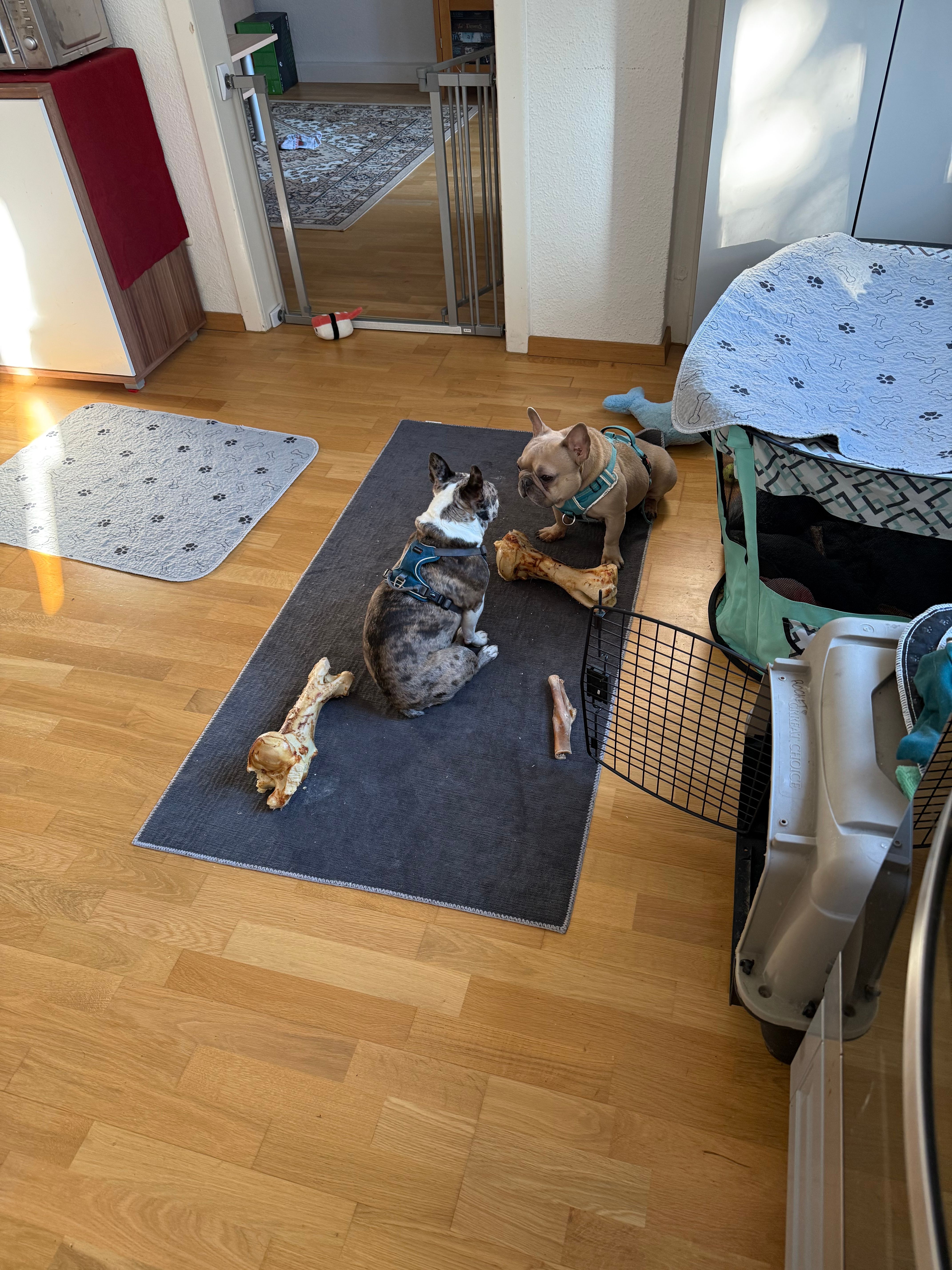 image-7