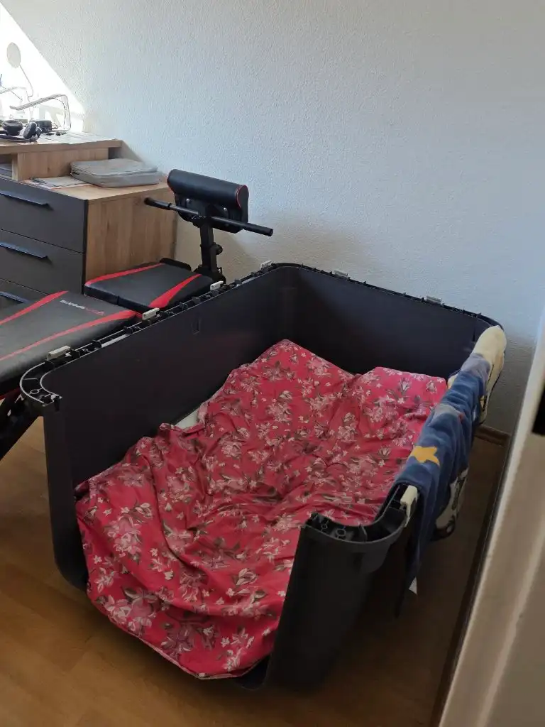 image-9