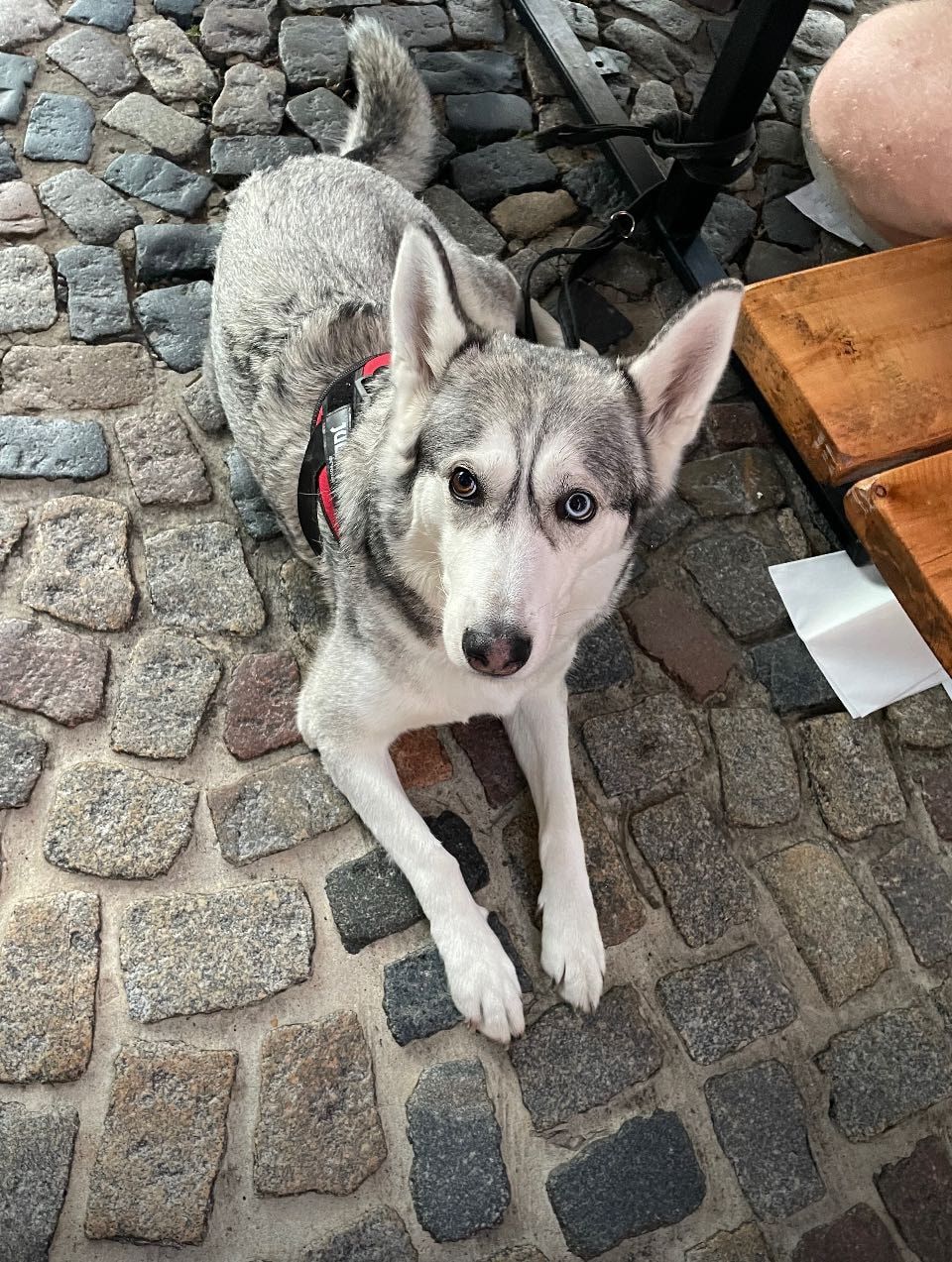 image-13