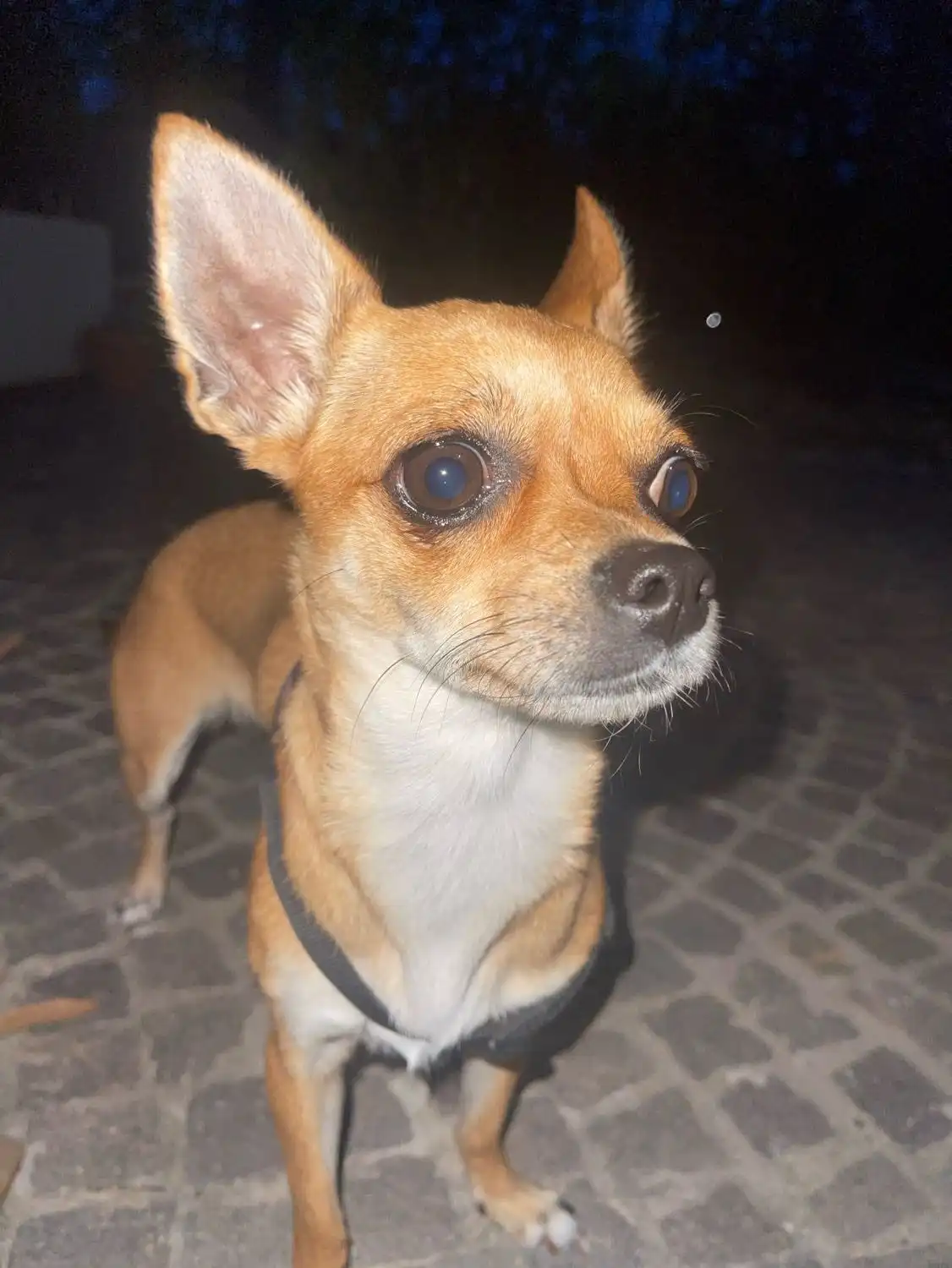 image-14