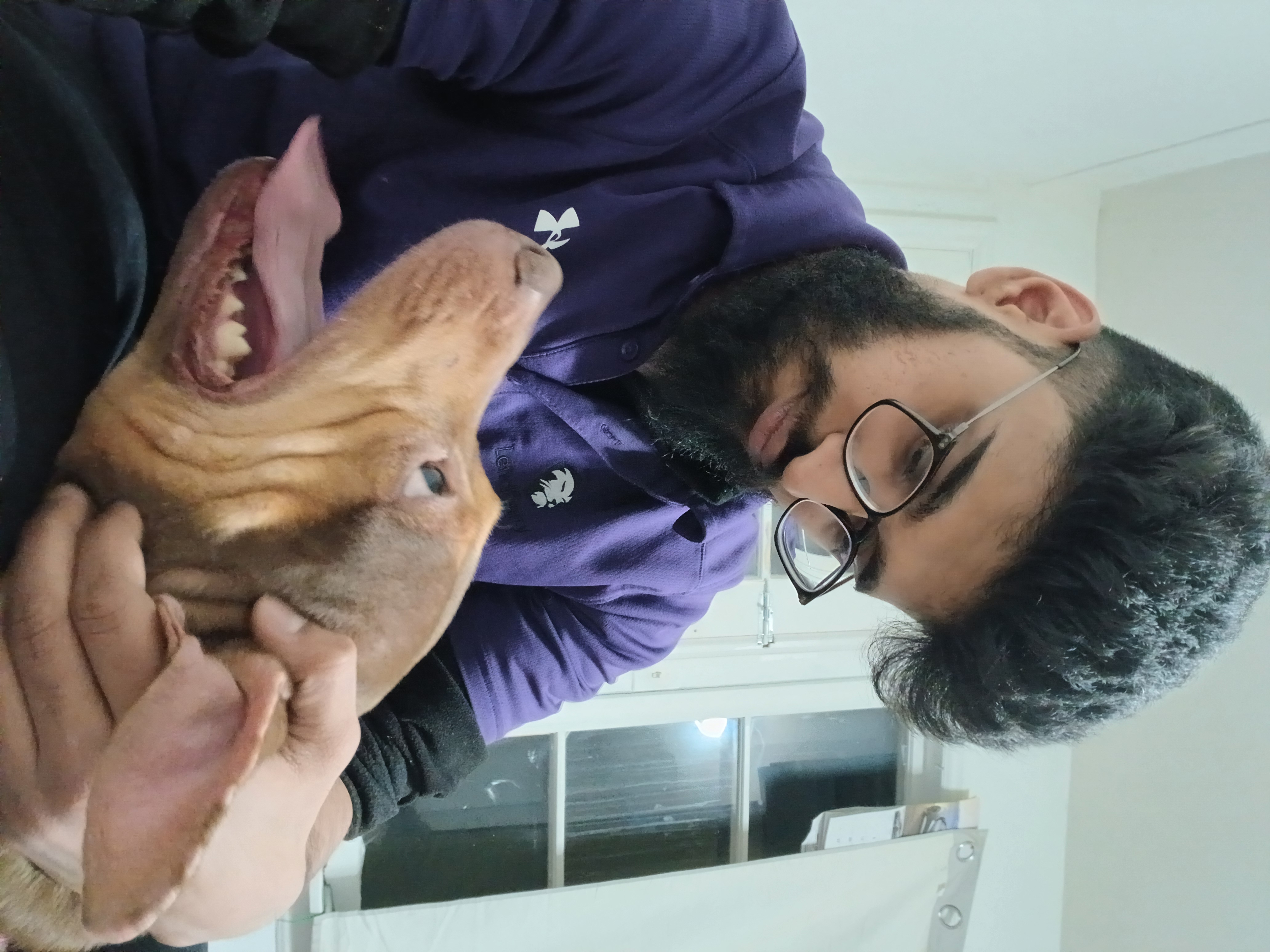image-7