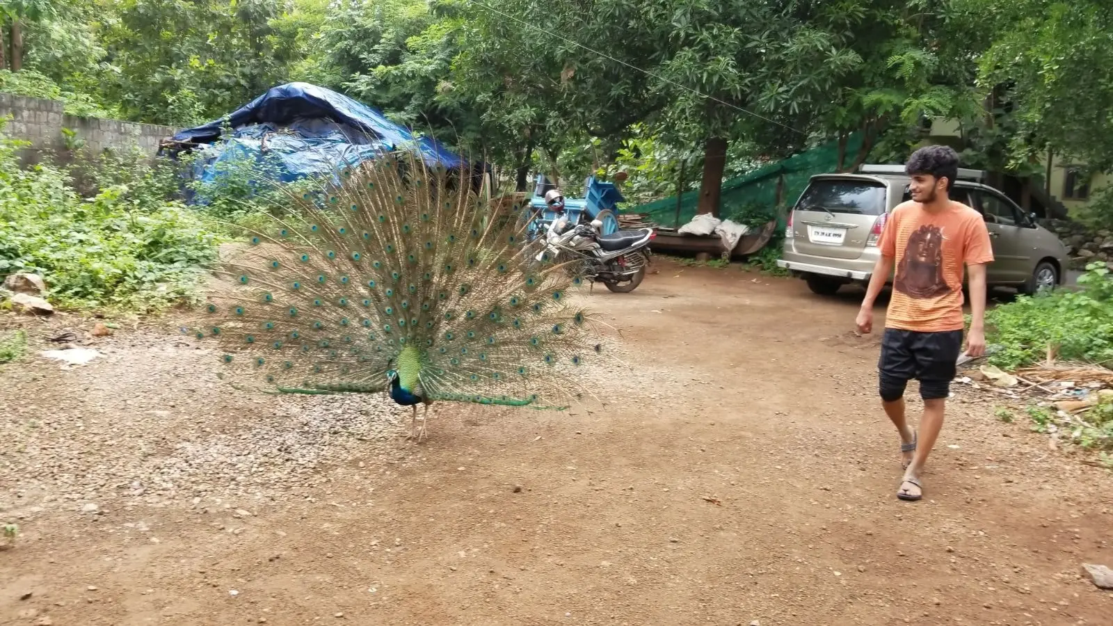 image-4