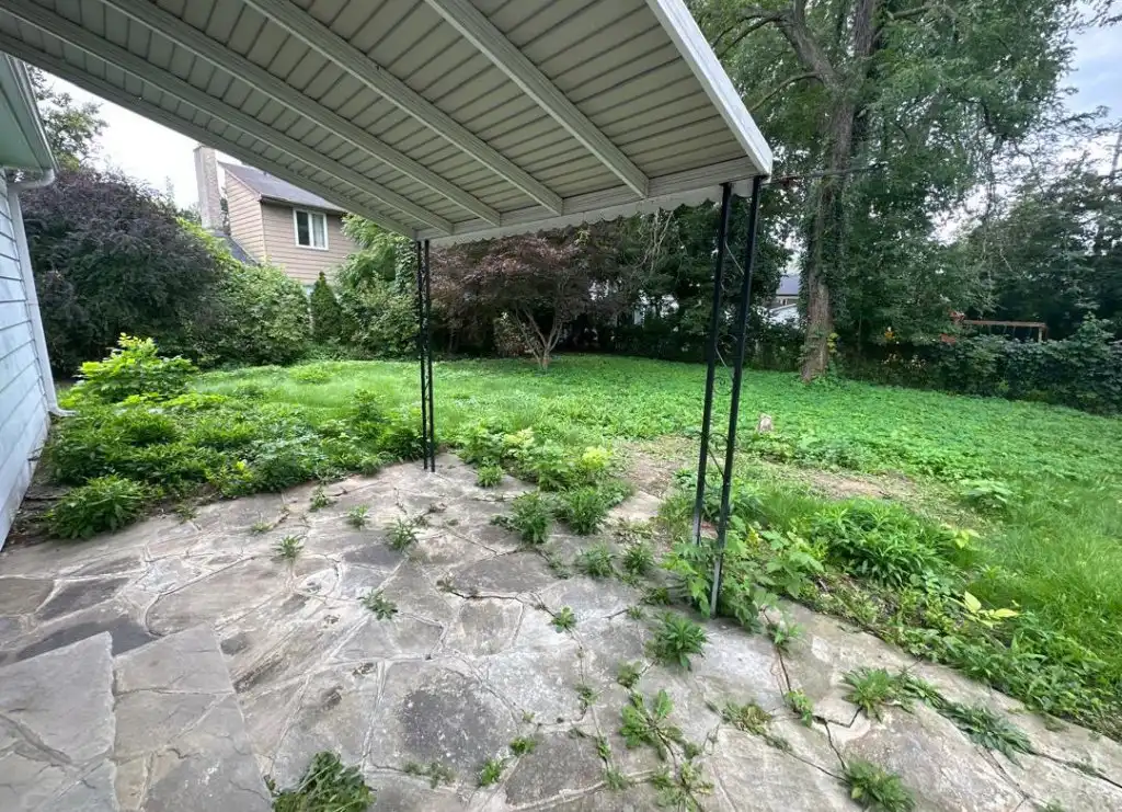 image-14