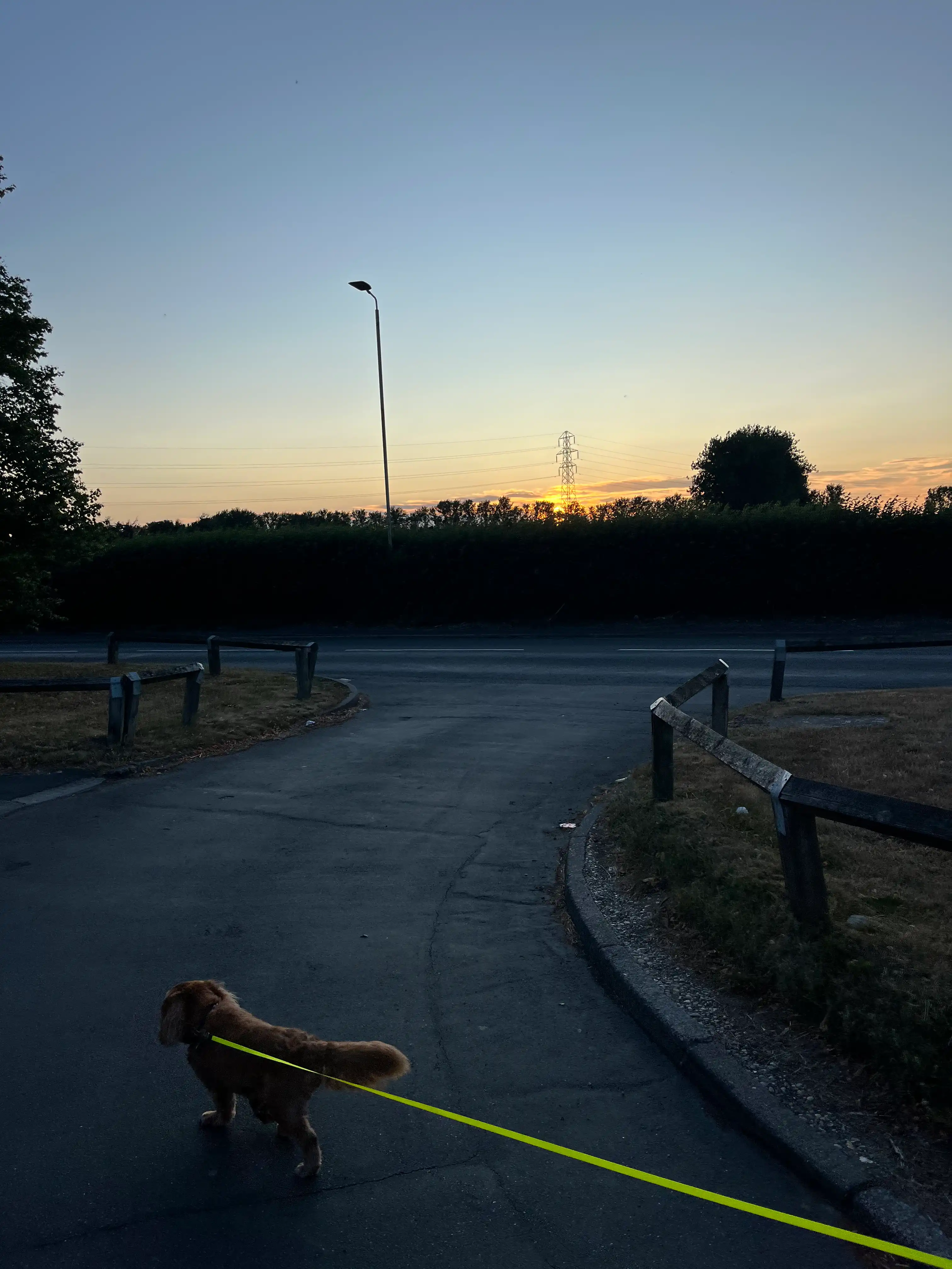 image-9