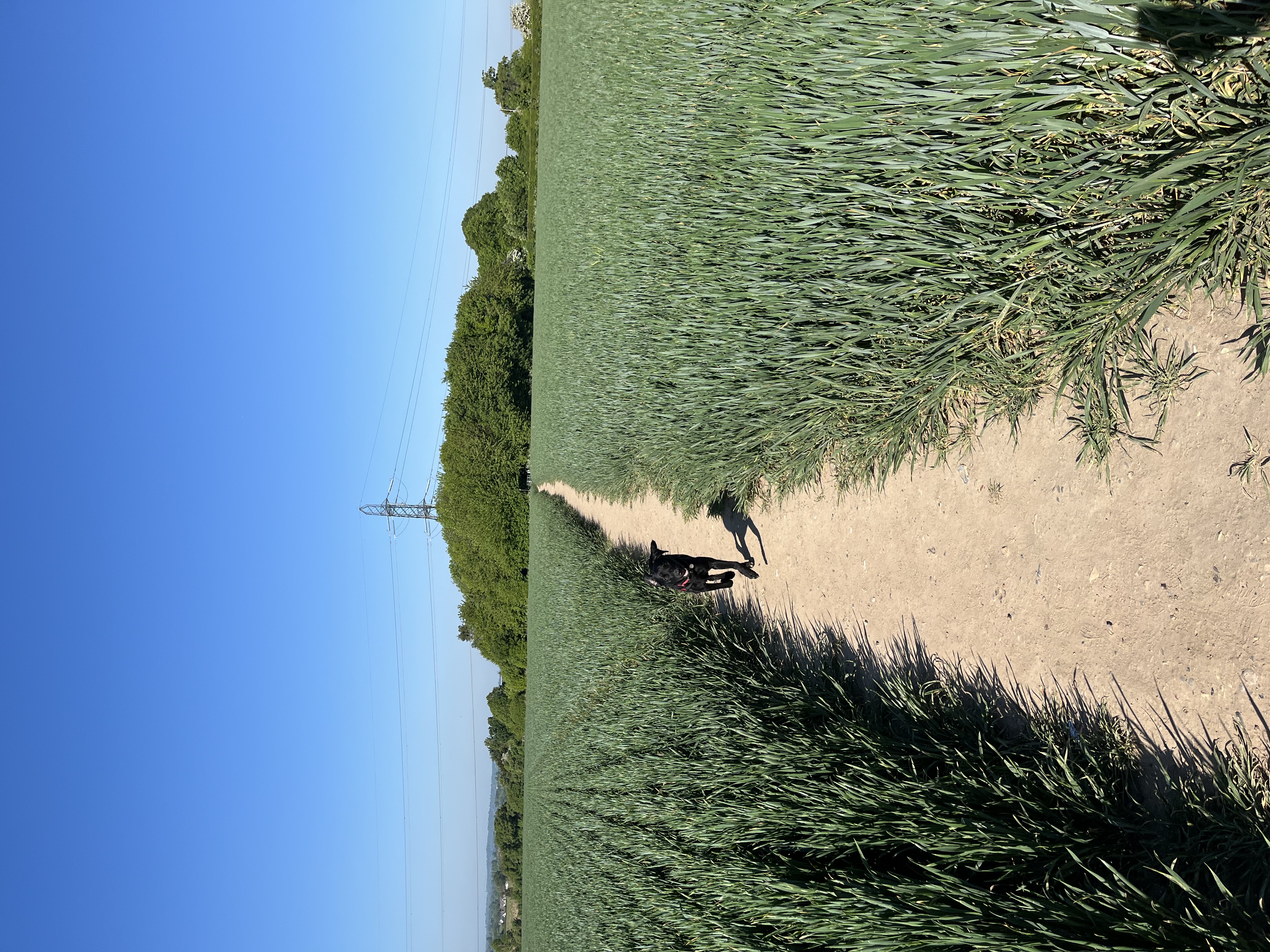 image-16