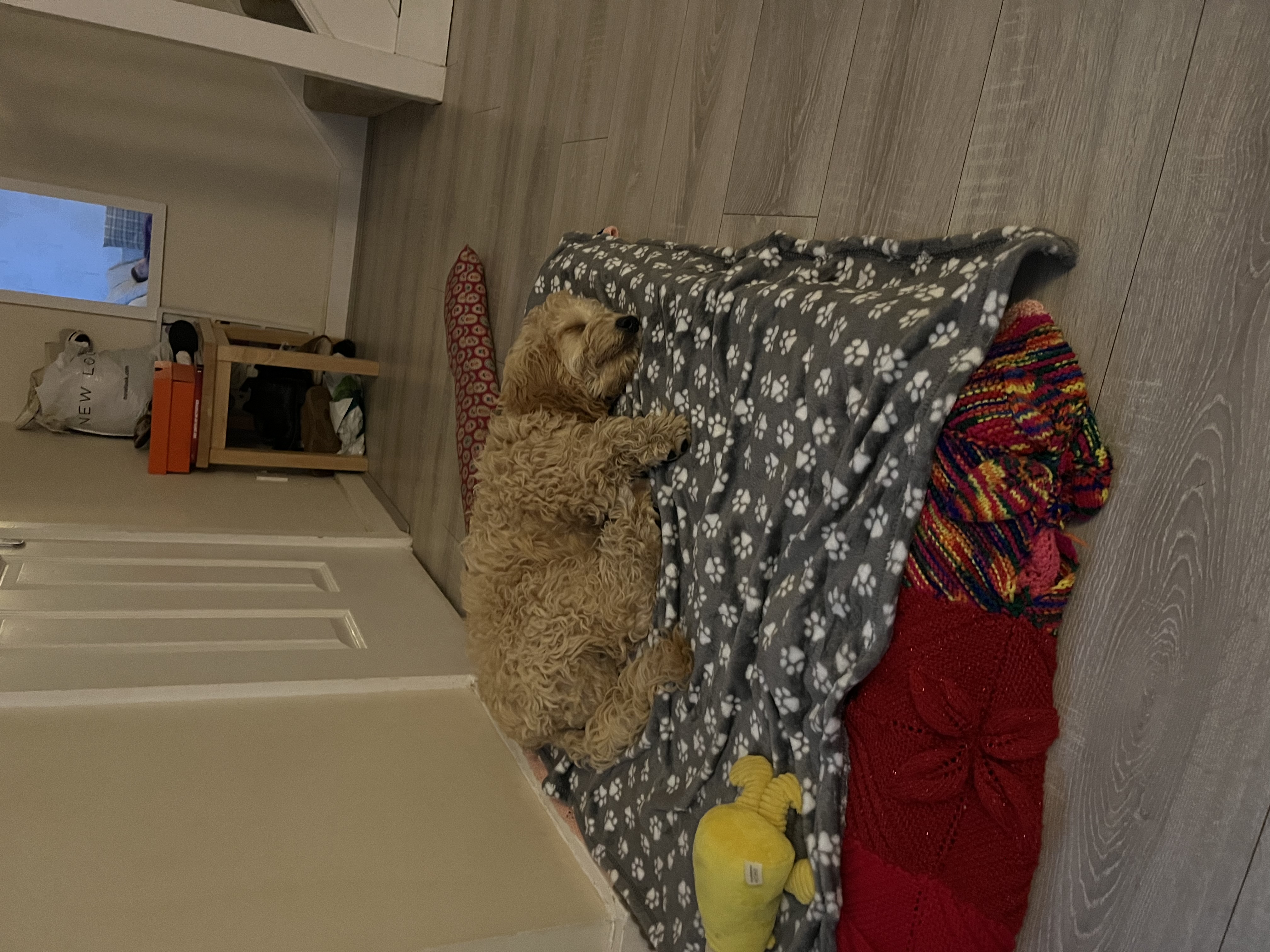 image-11