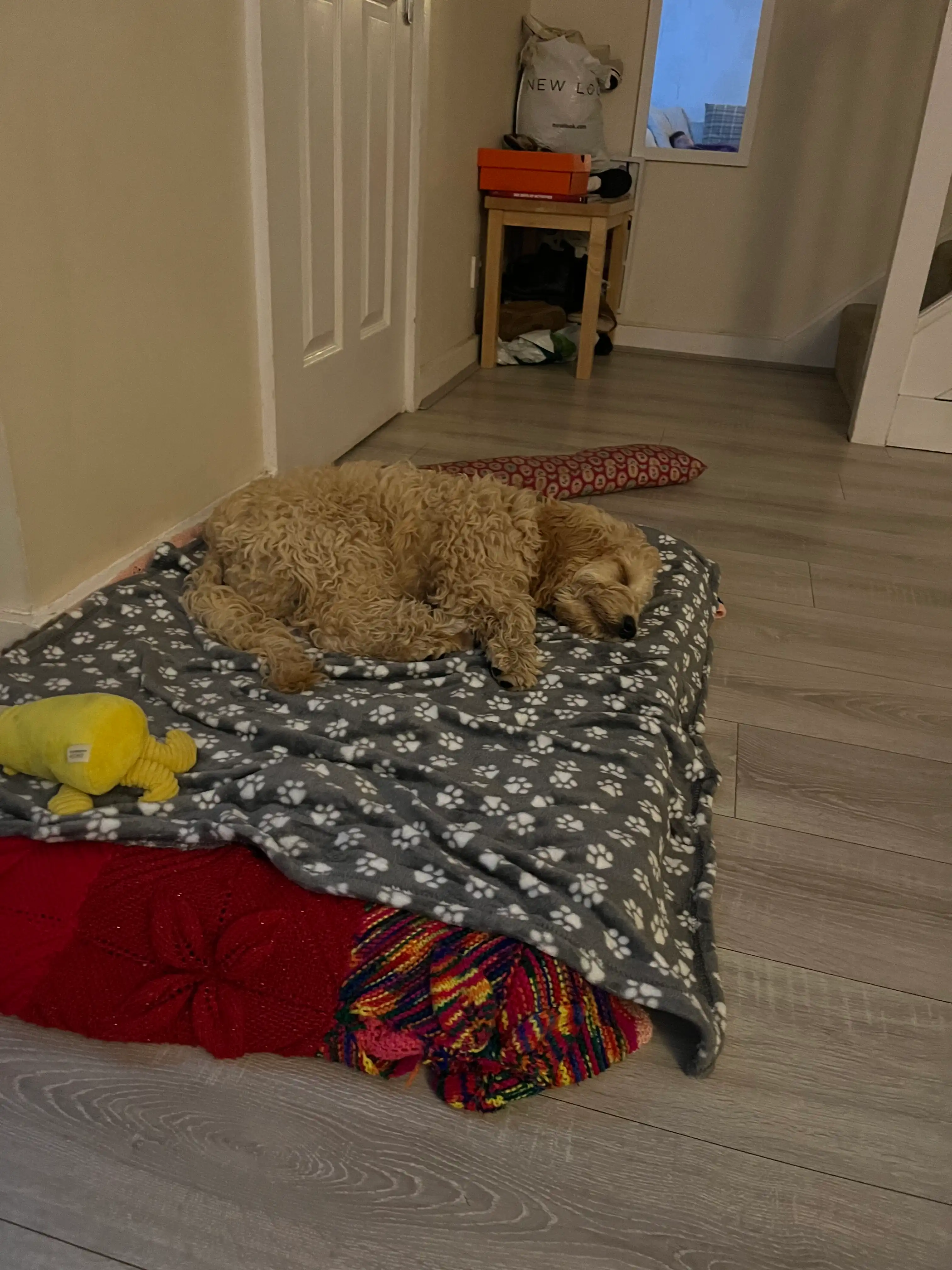 image-11