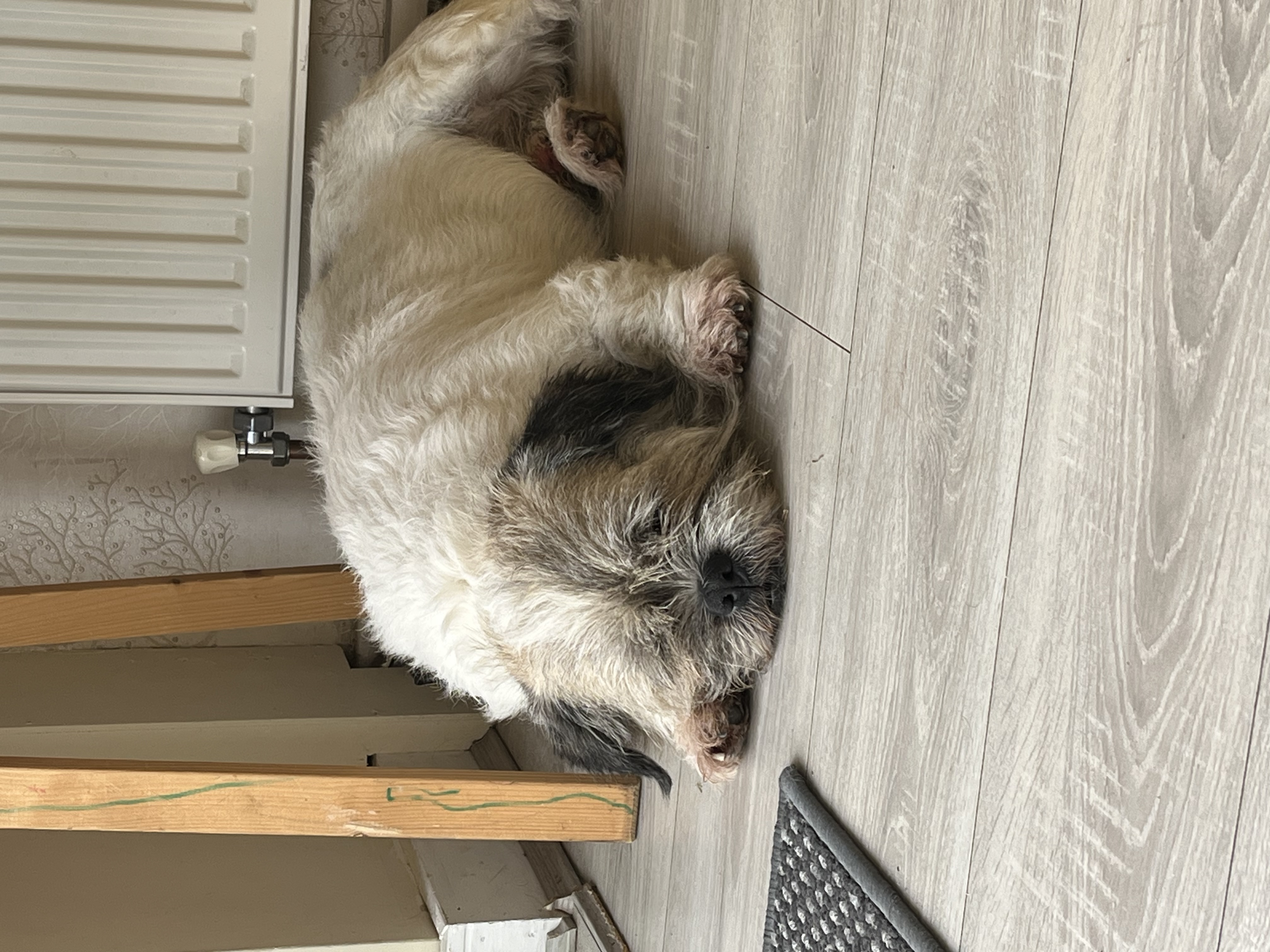 image-7
