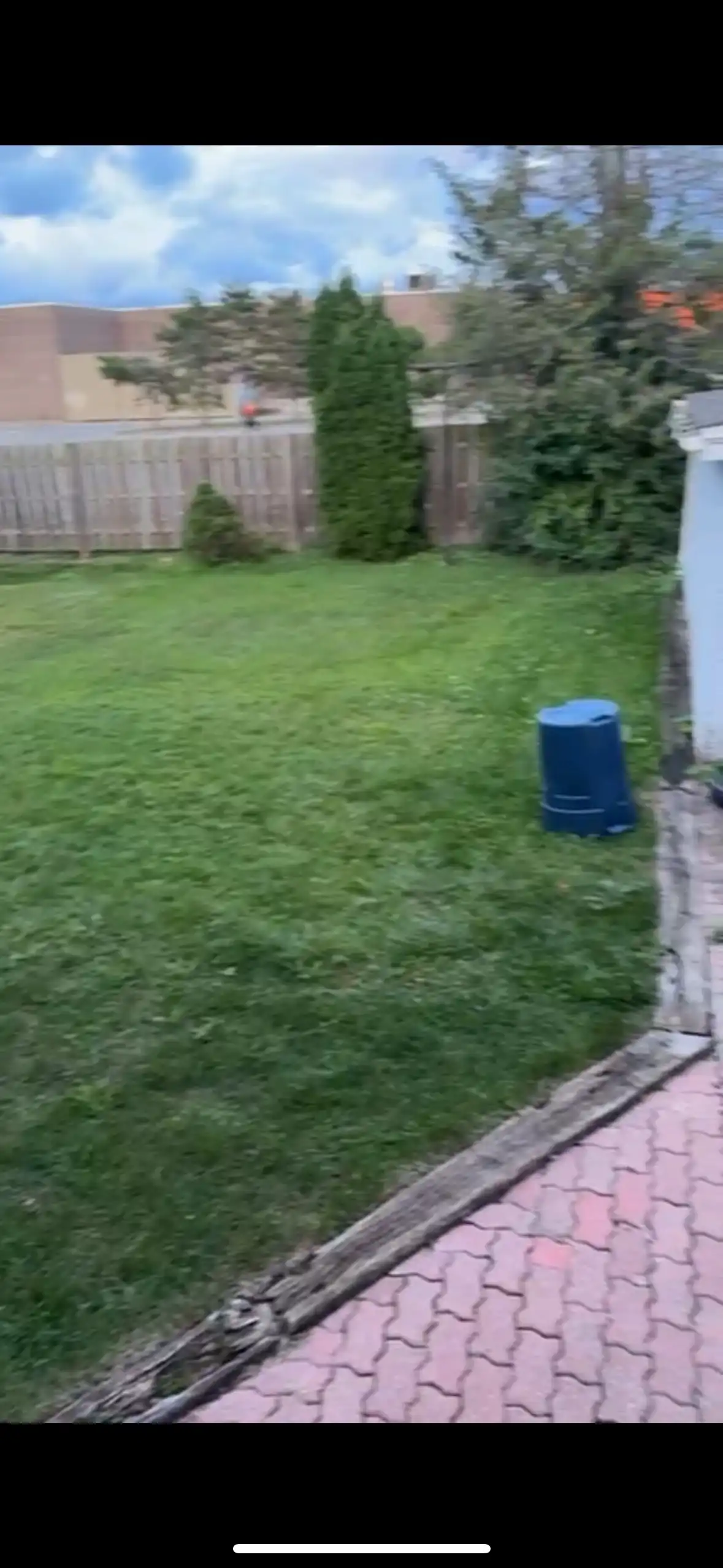 image-16