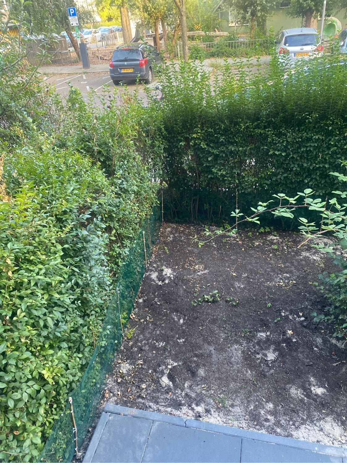 image-3