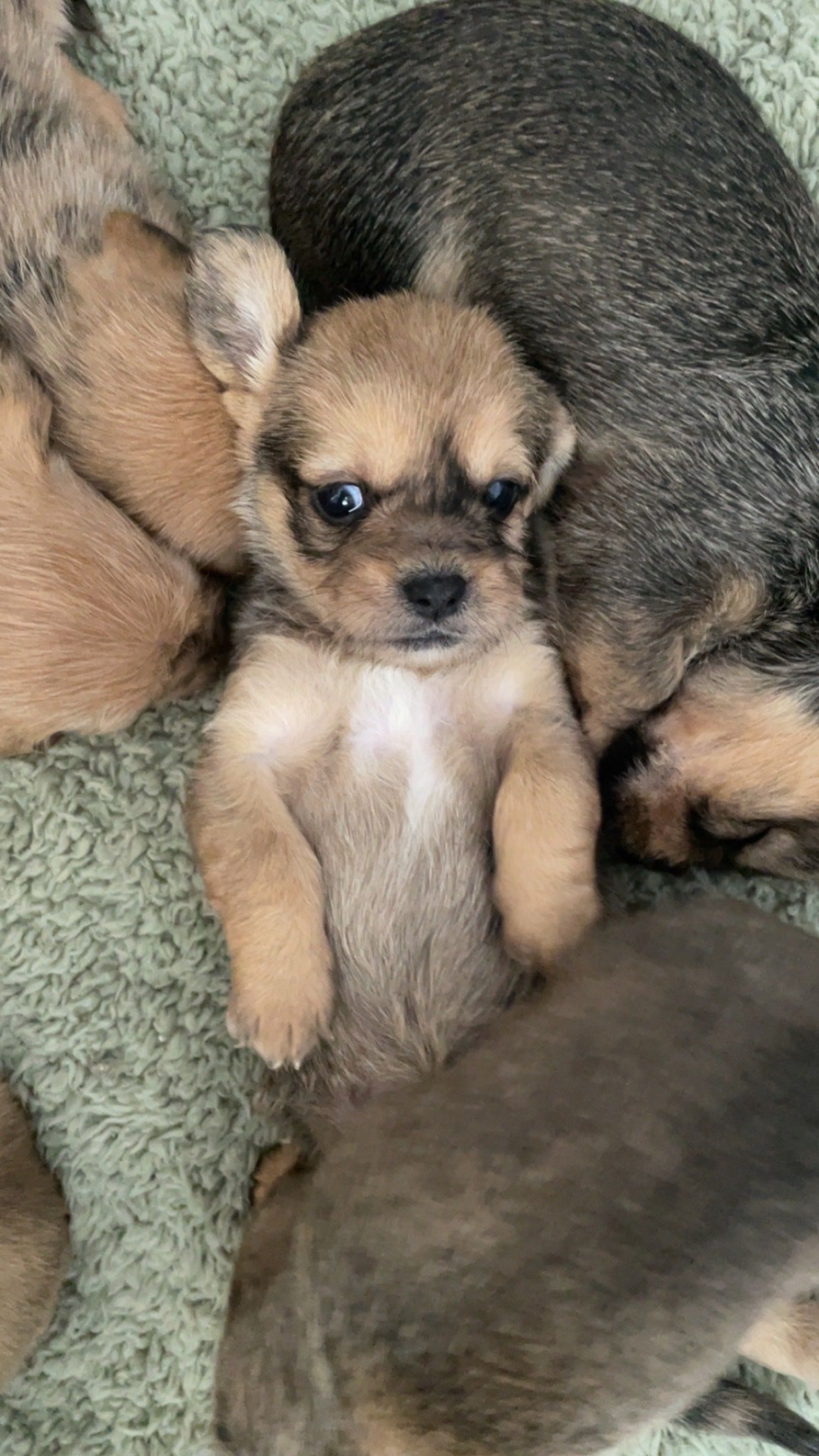 image-10