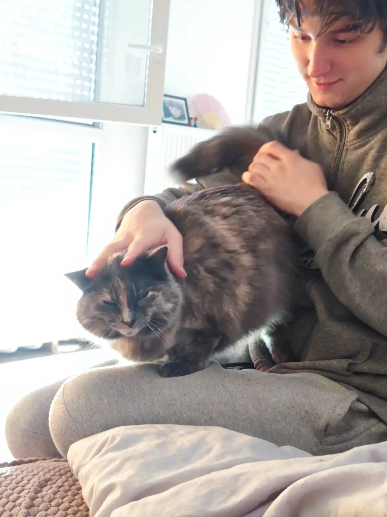 image-5