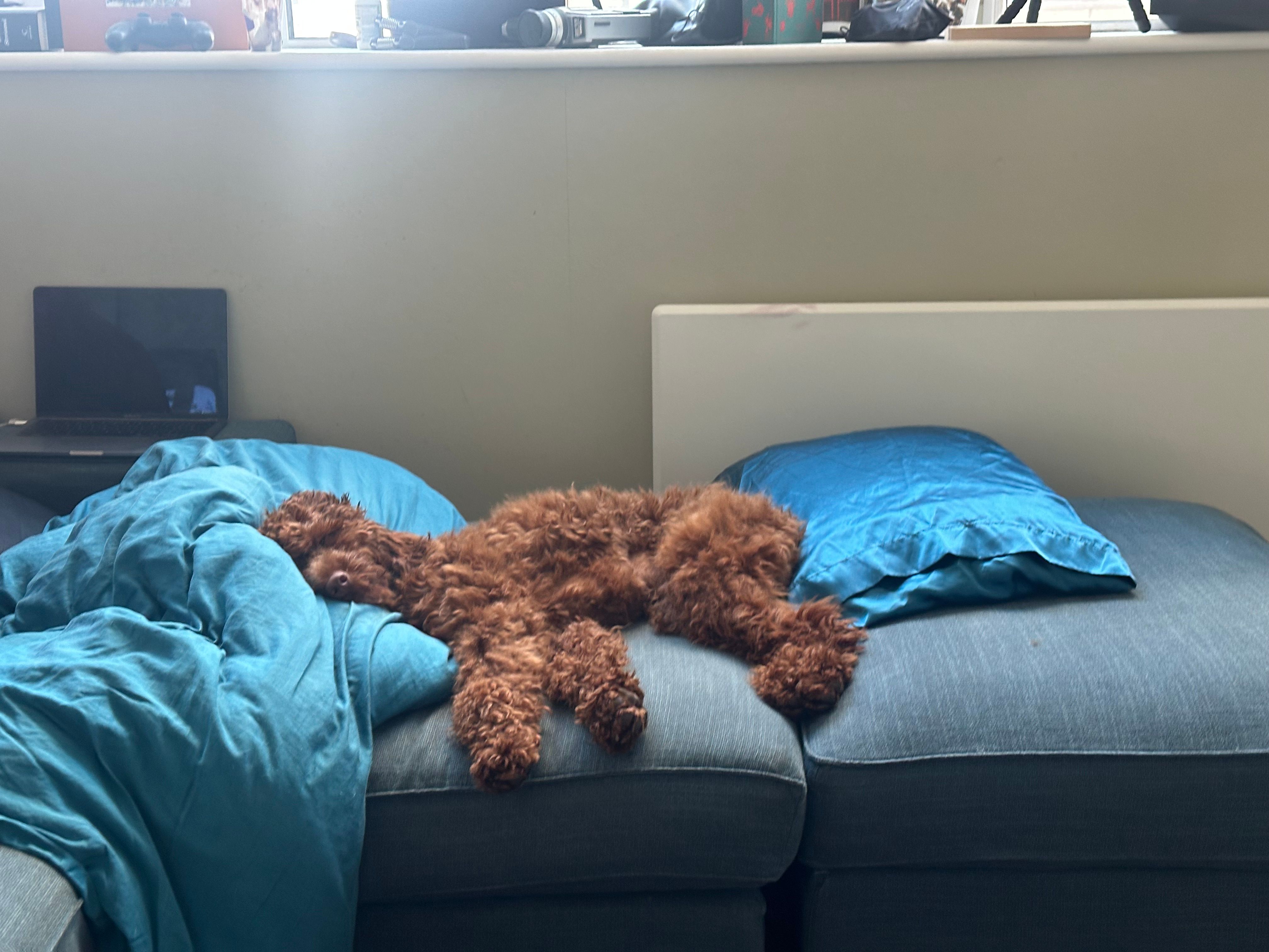 image-13