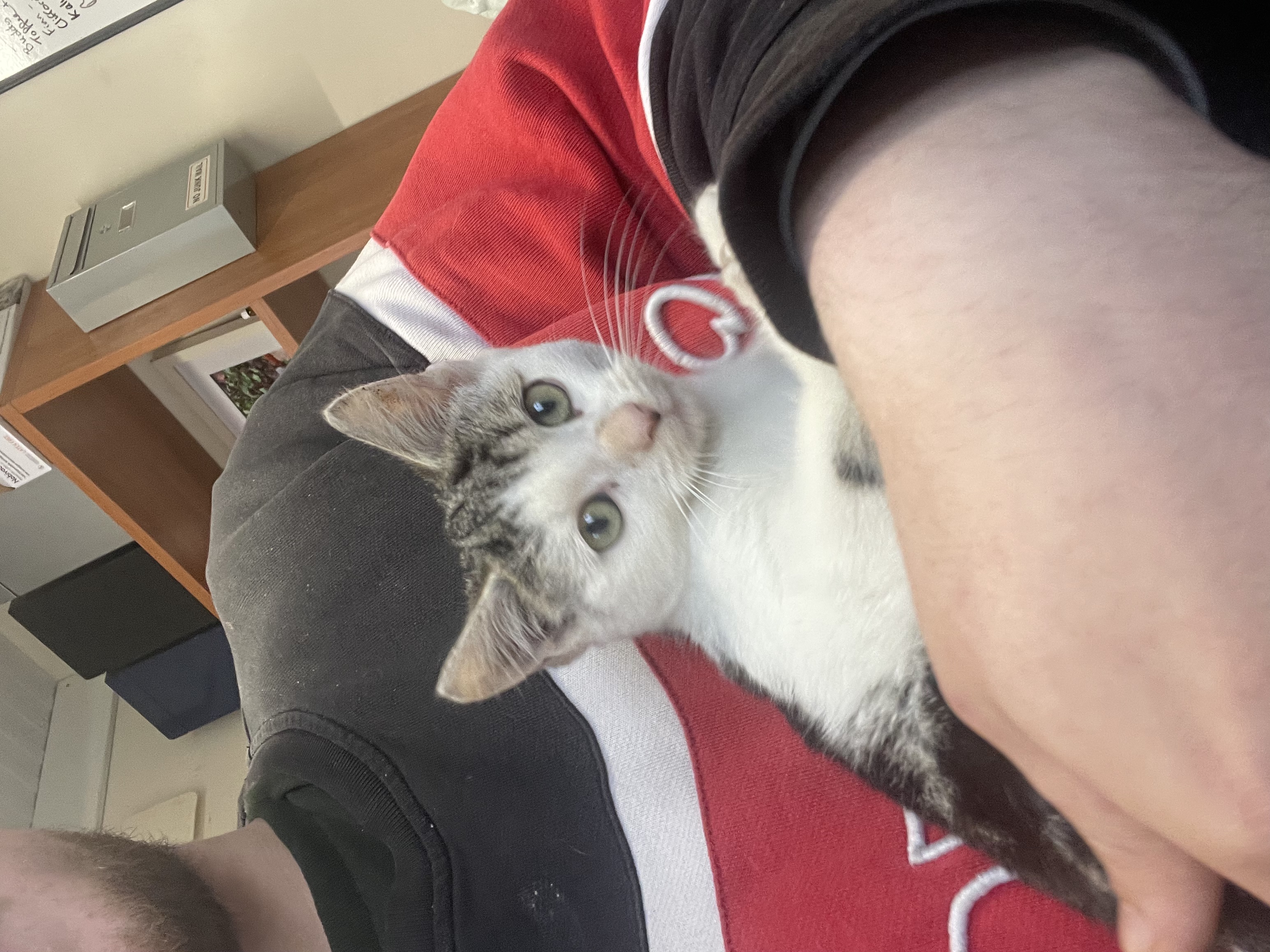image-6