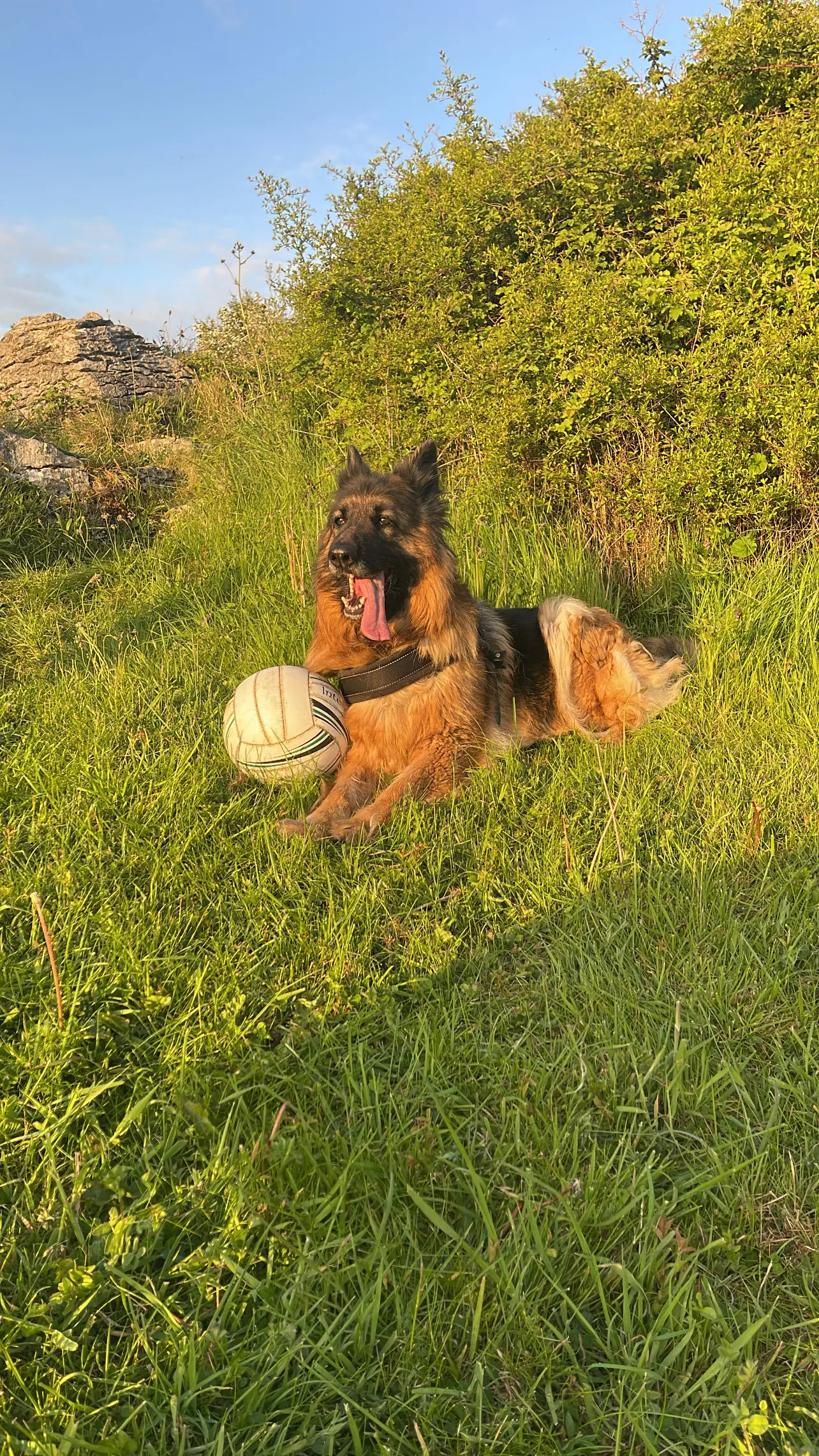 image-4