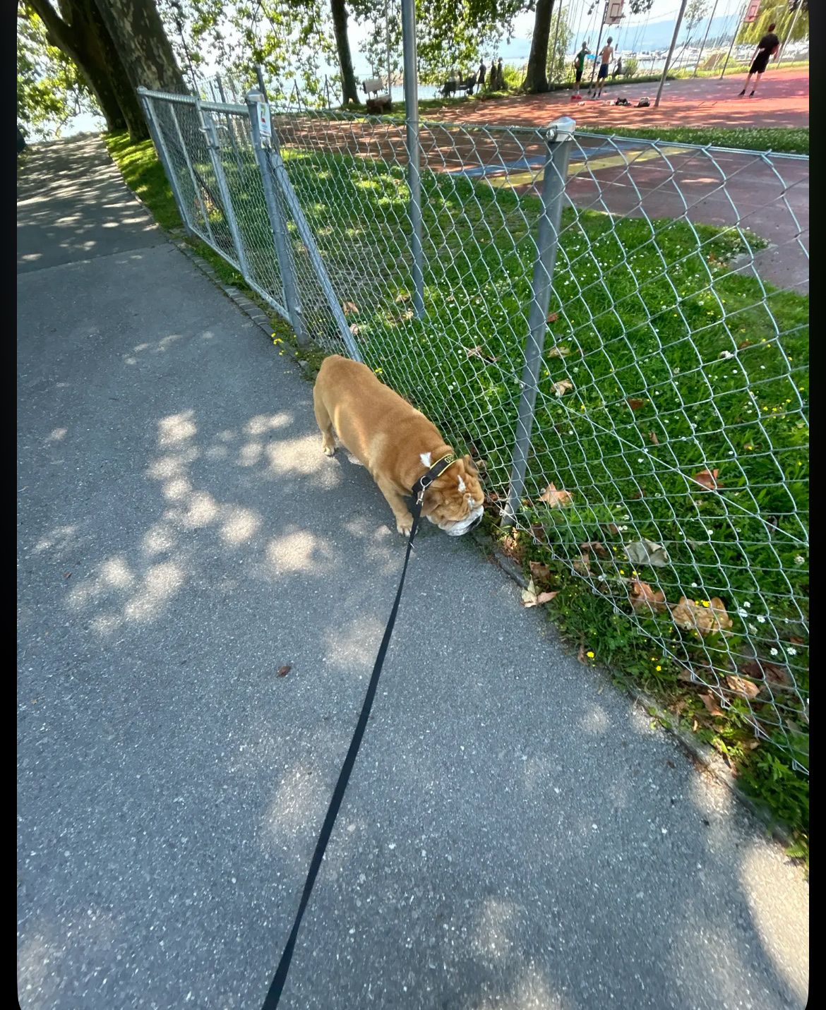 image-12