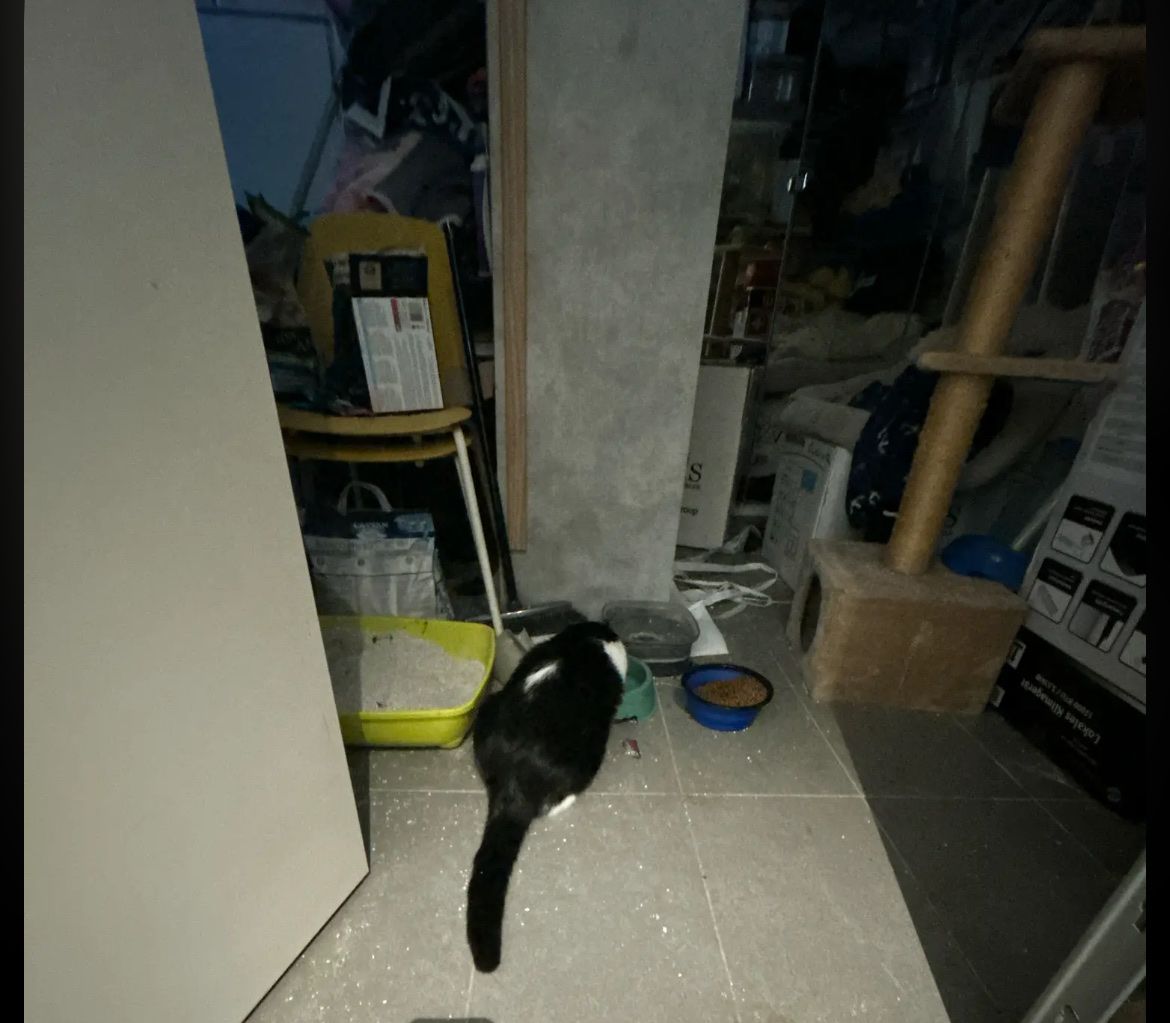 image-14