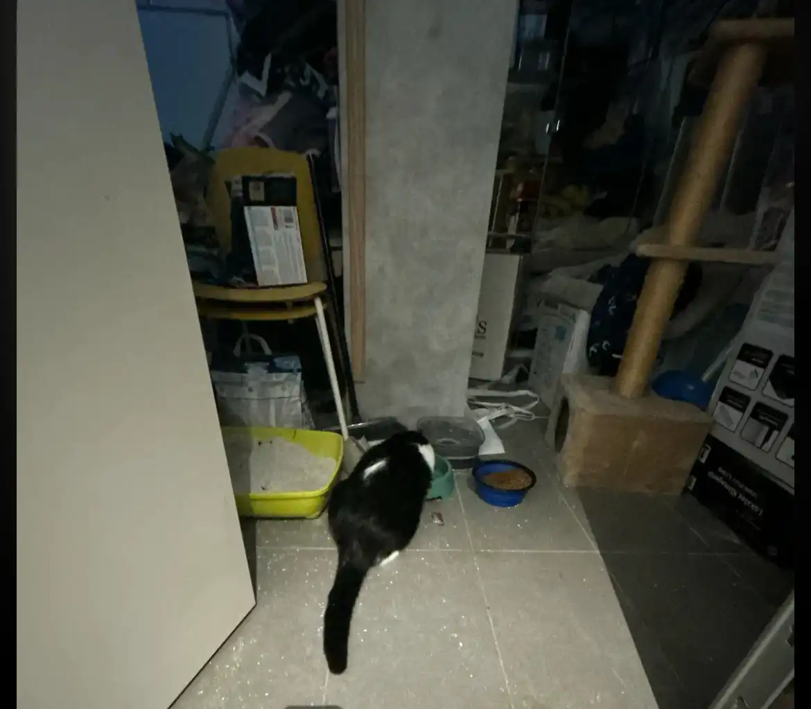 image-14