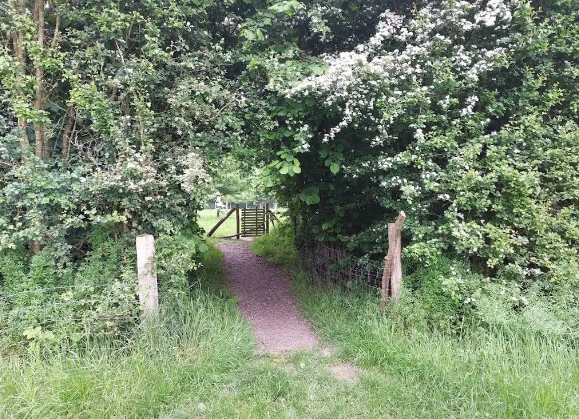 image-22