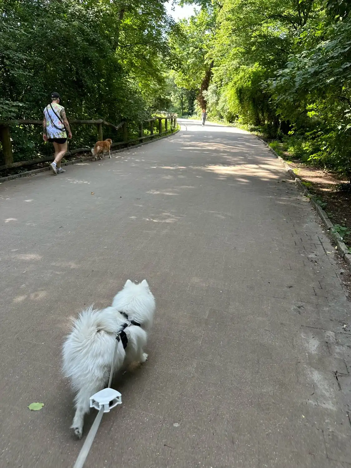 image-17