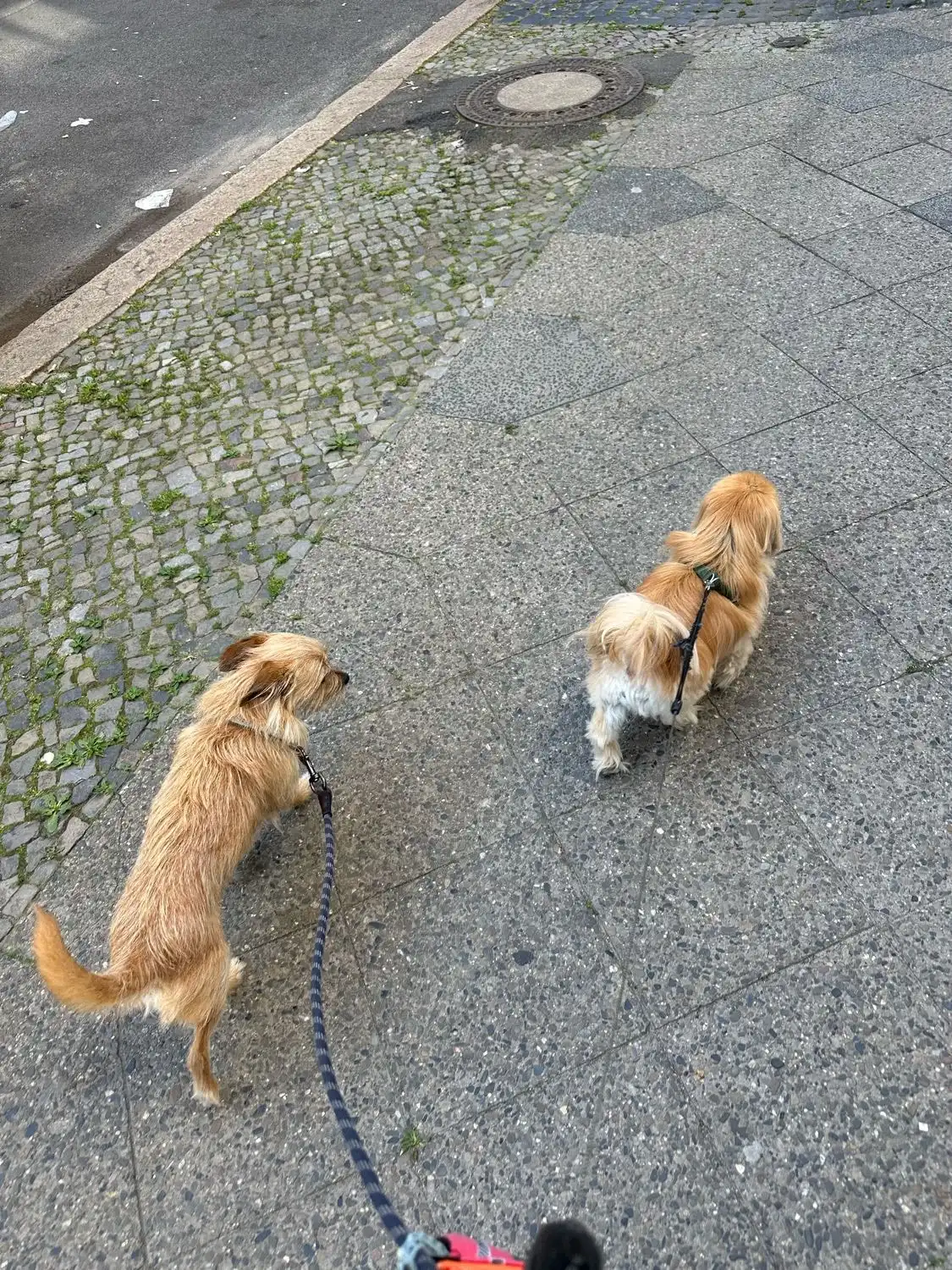 image-18