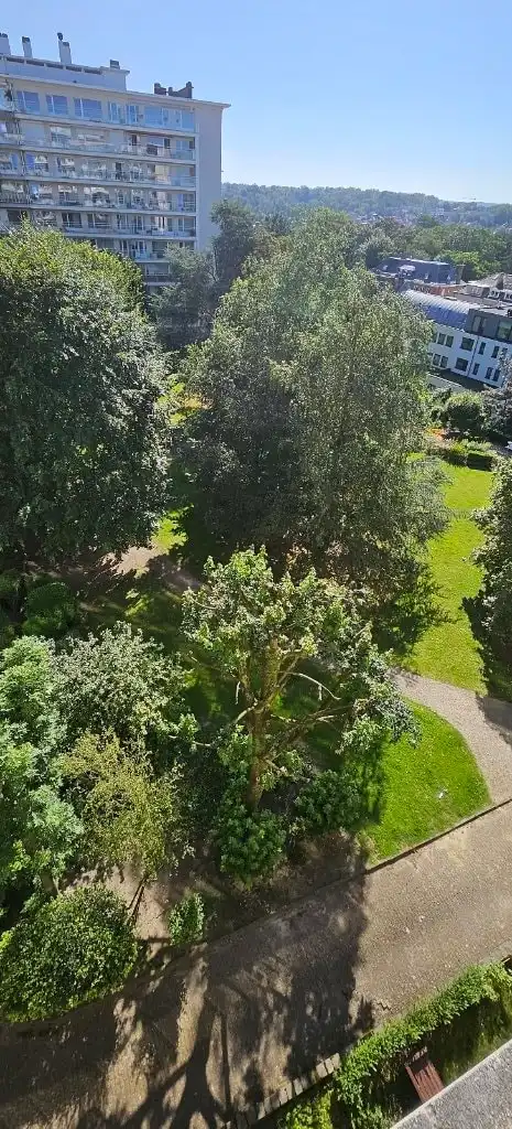 image-9