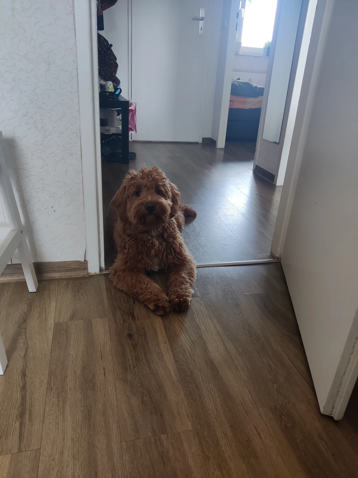 image-16