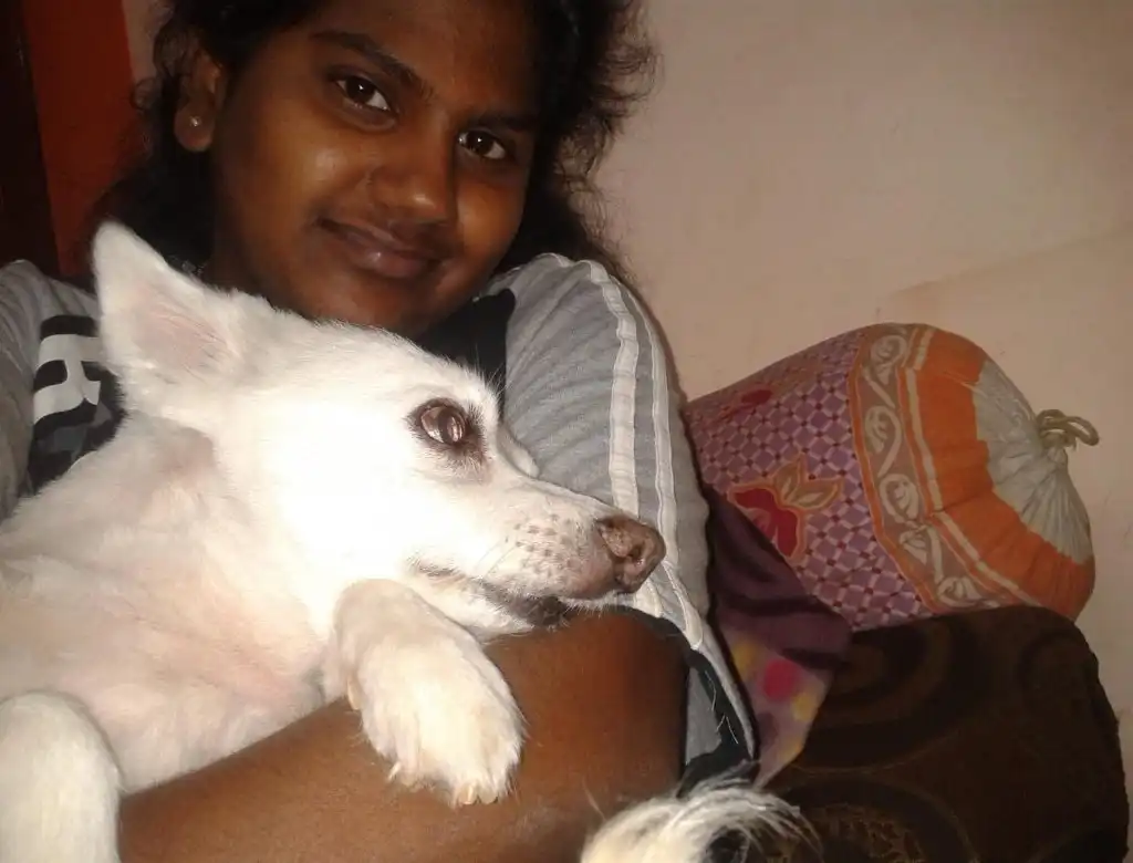 image-8