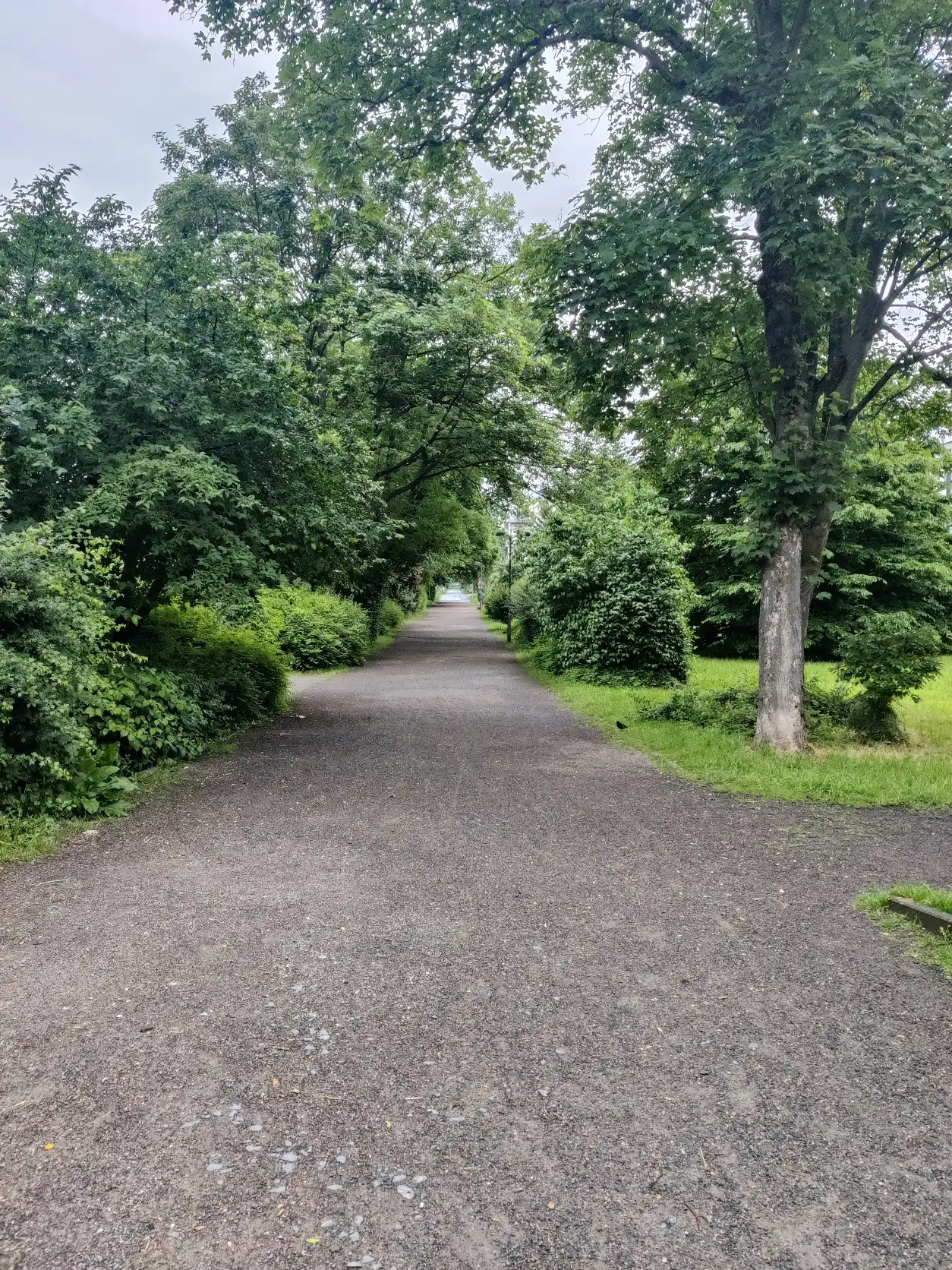 image-25