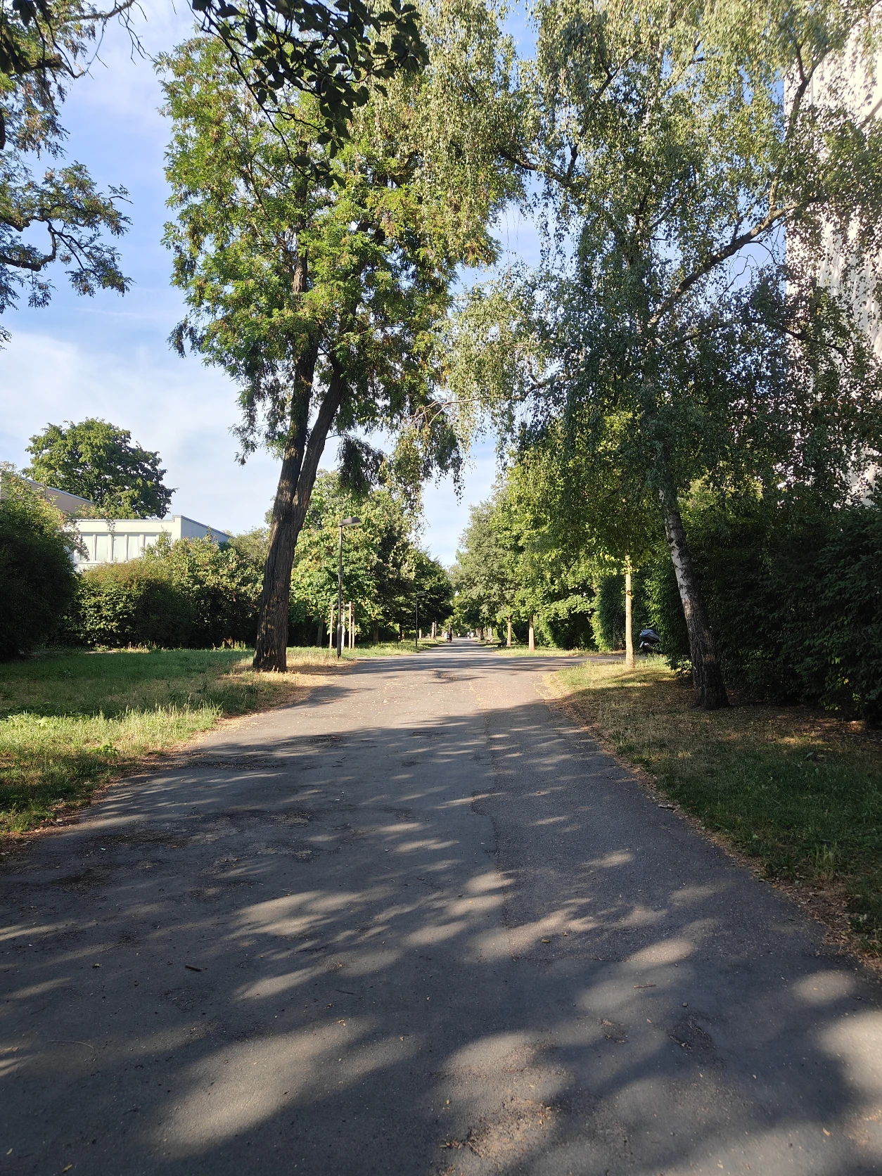 image-24
