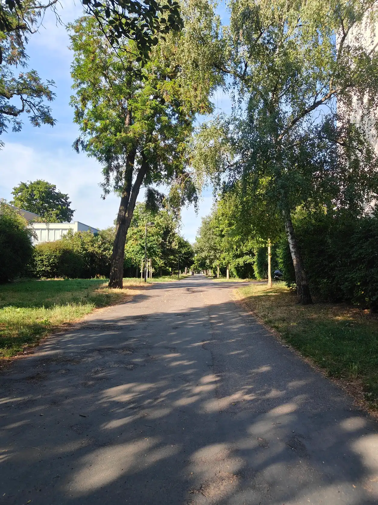 image-24