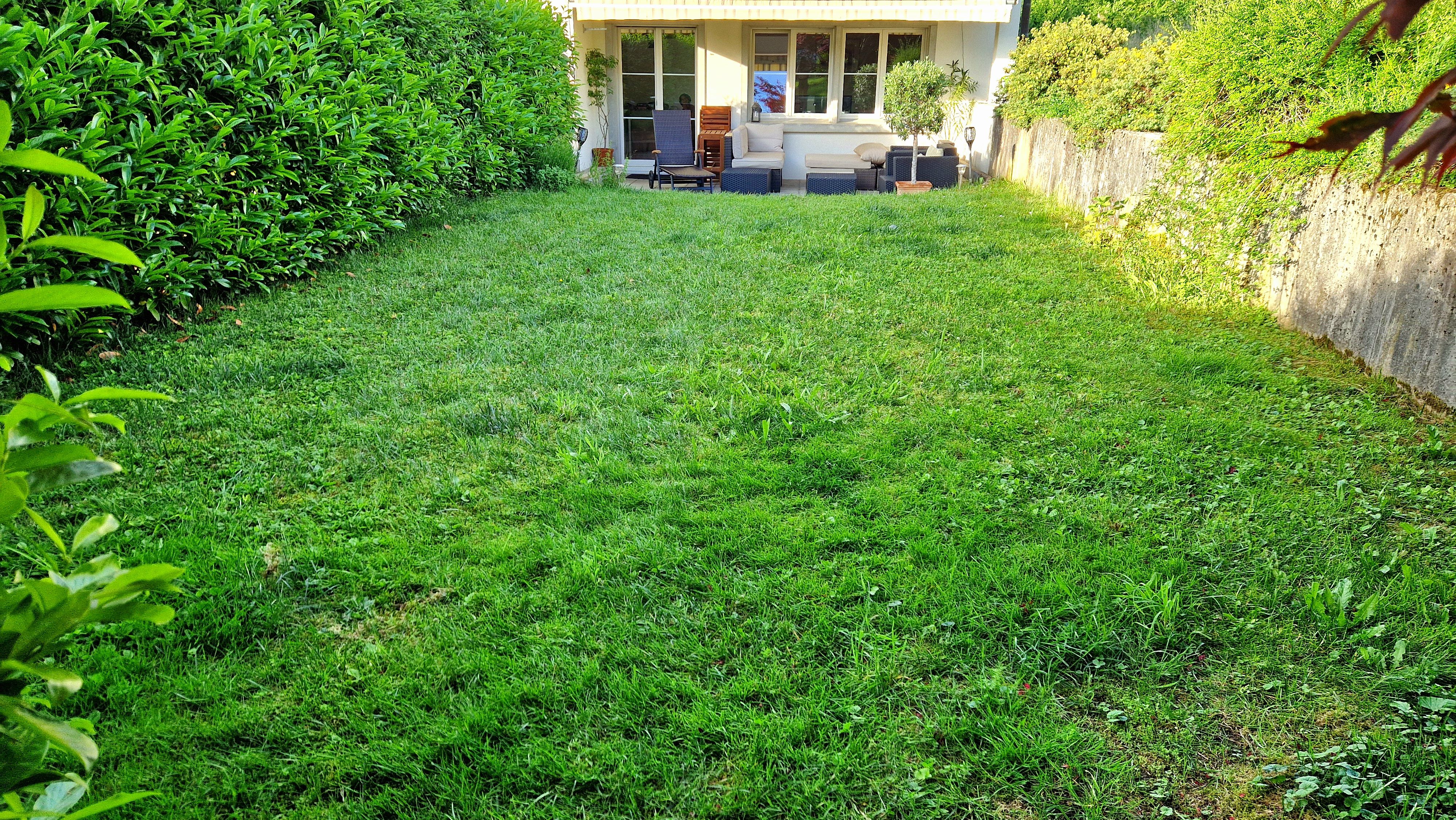 image-19