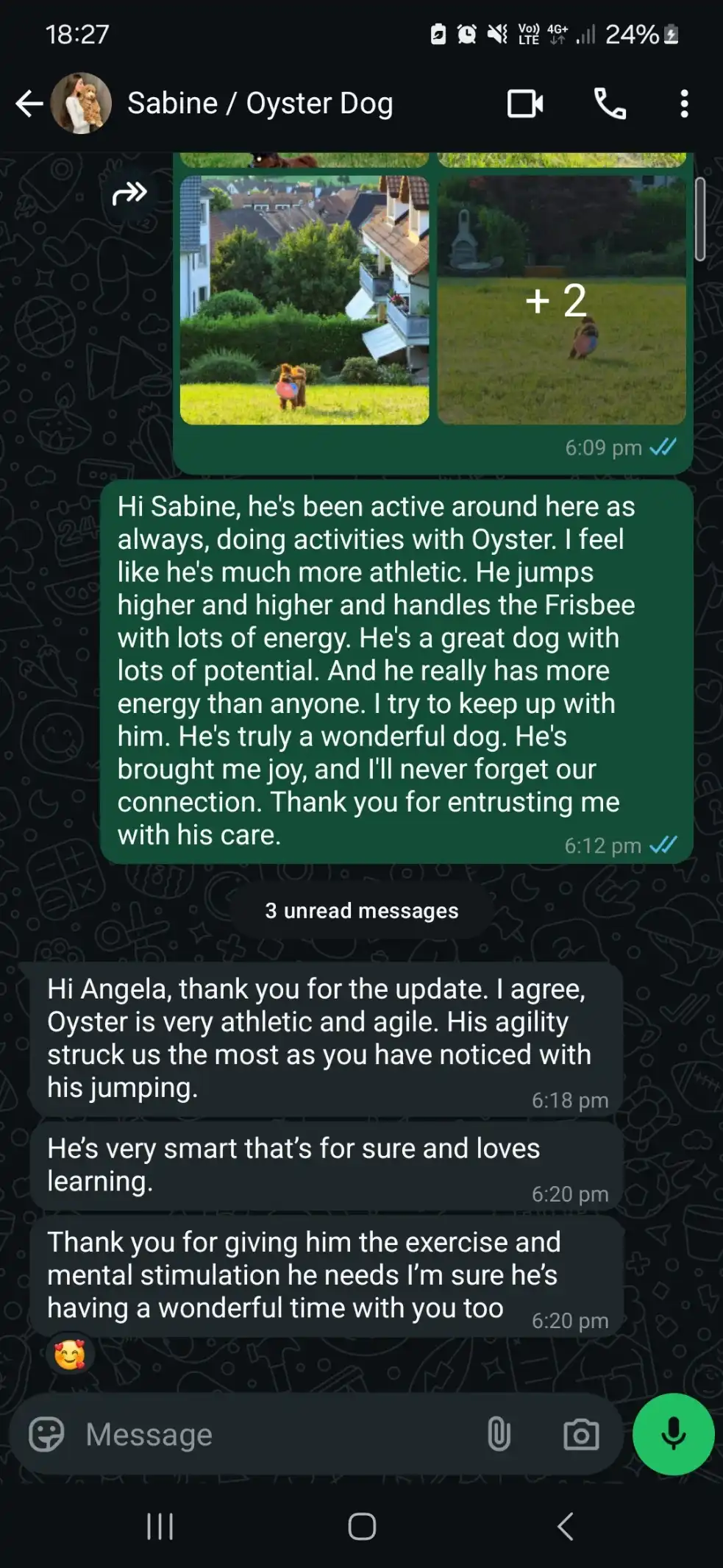 image-7